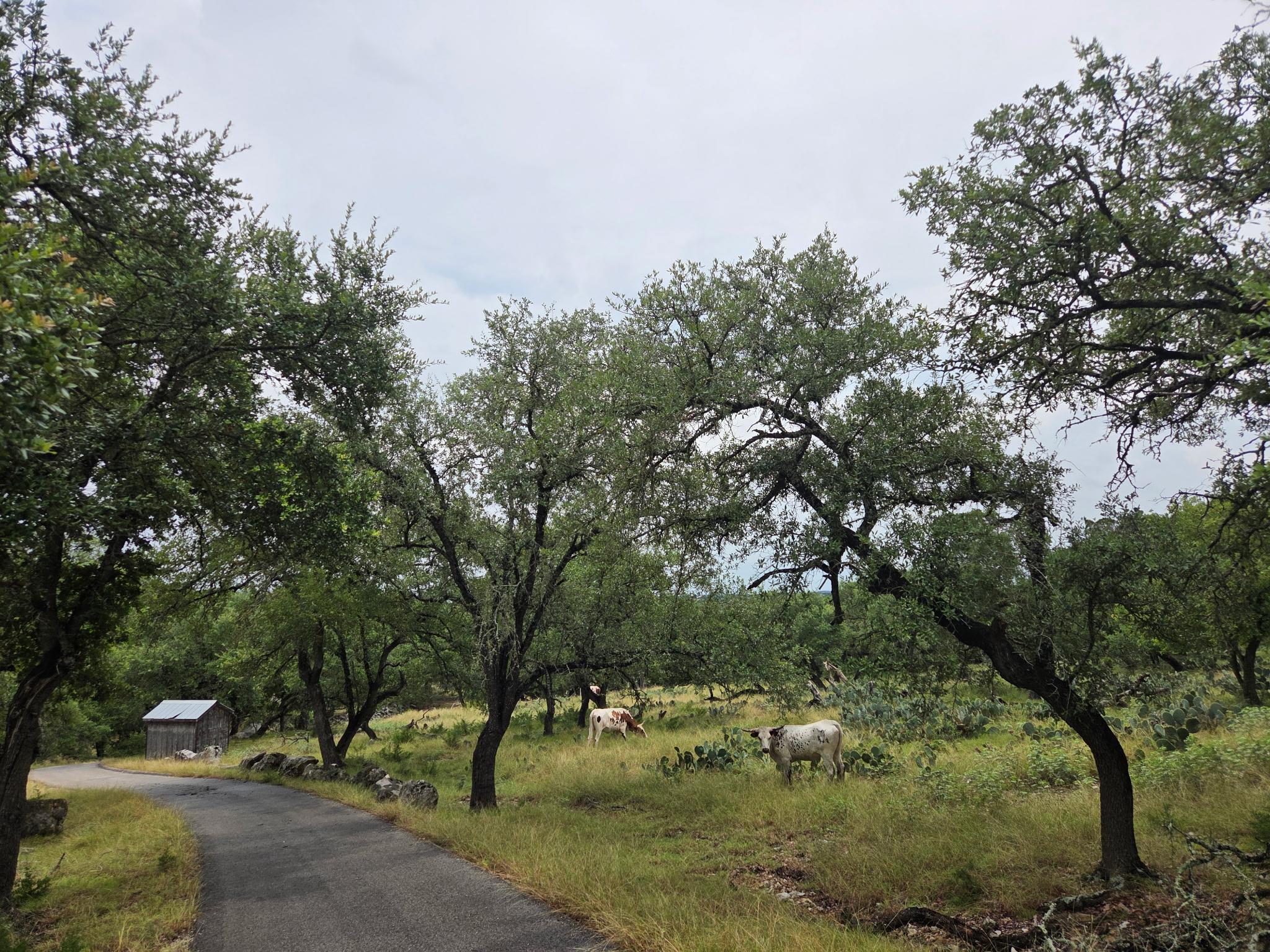 27846 Natural Bridge Caverns Rd, San Antonio, TX 78266