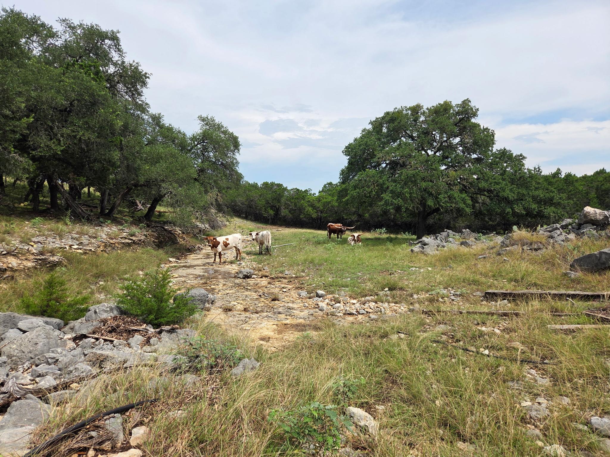 27846 Natural Bridge Caverns Rd, San Antonio, TX 78266