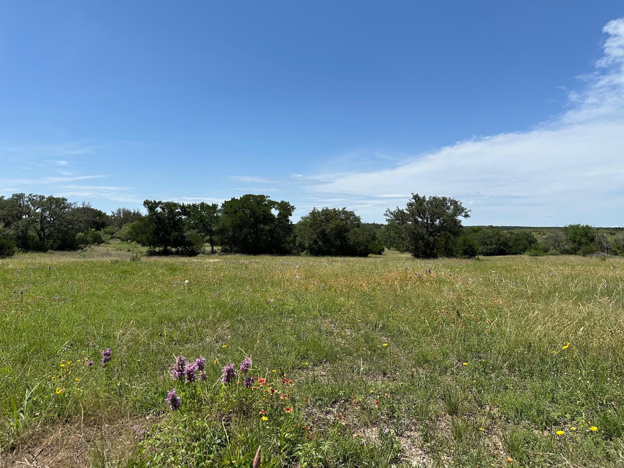 45 acres County Road 330, Bertram, TX 78605