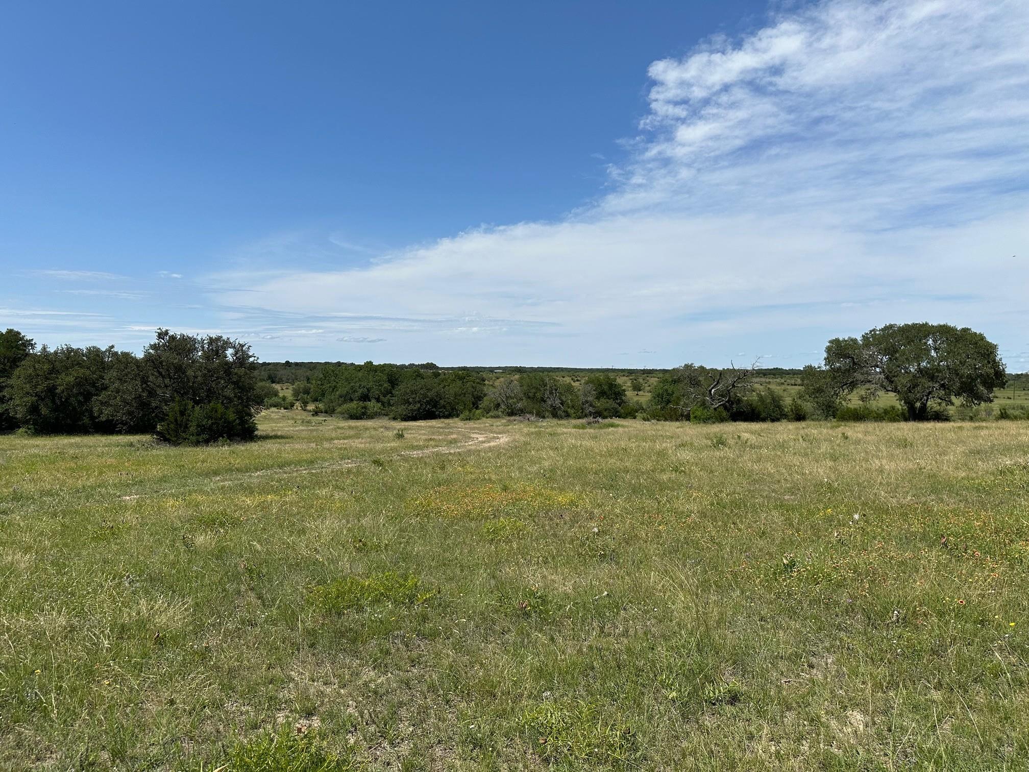 45 acres County Road 330, Bertram, TX 78605