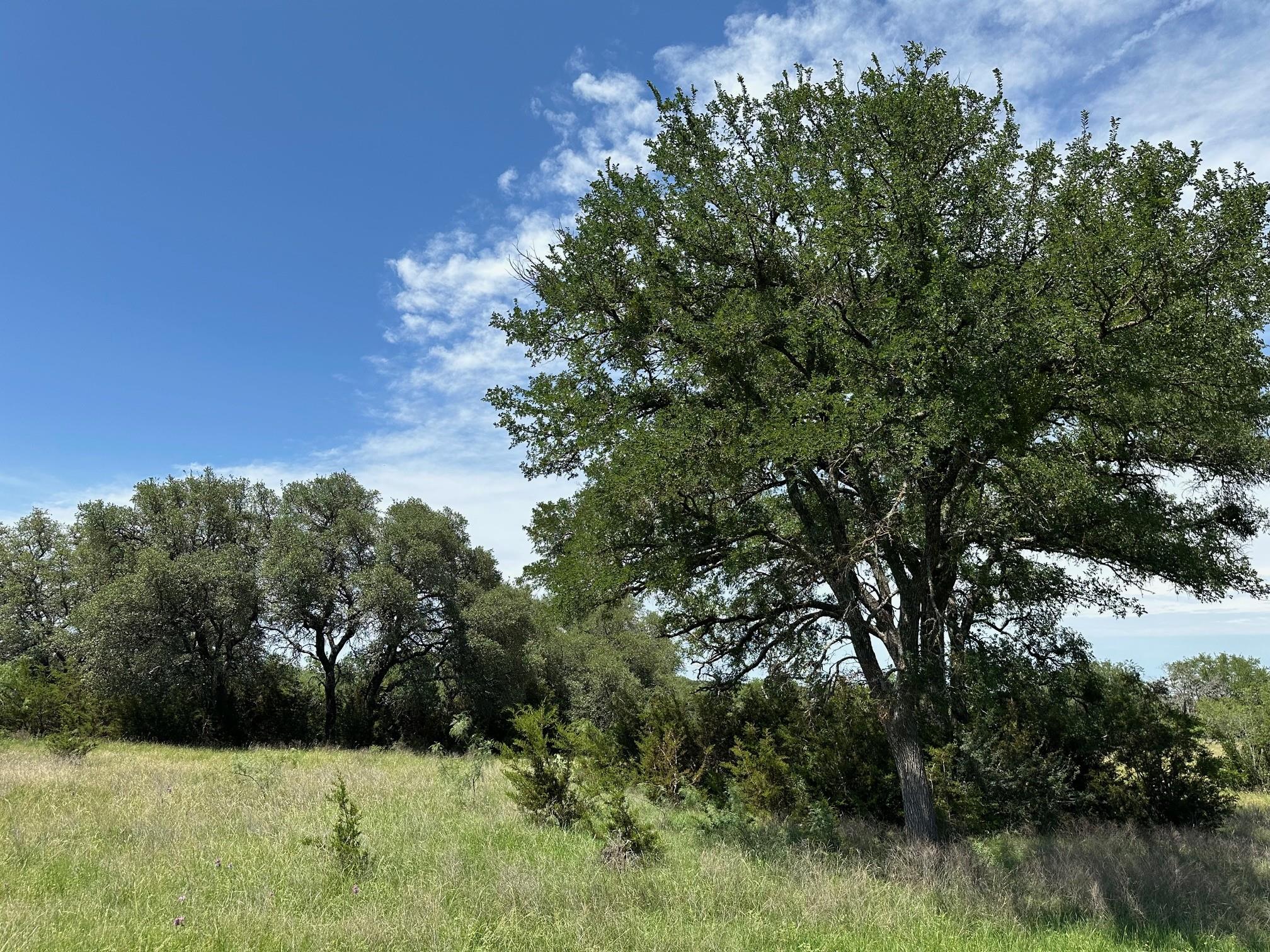 45 acres County Road 330, Bertram, TX 78605