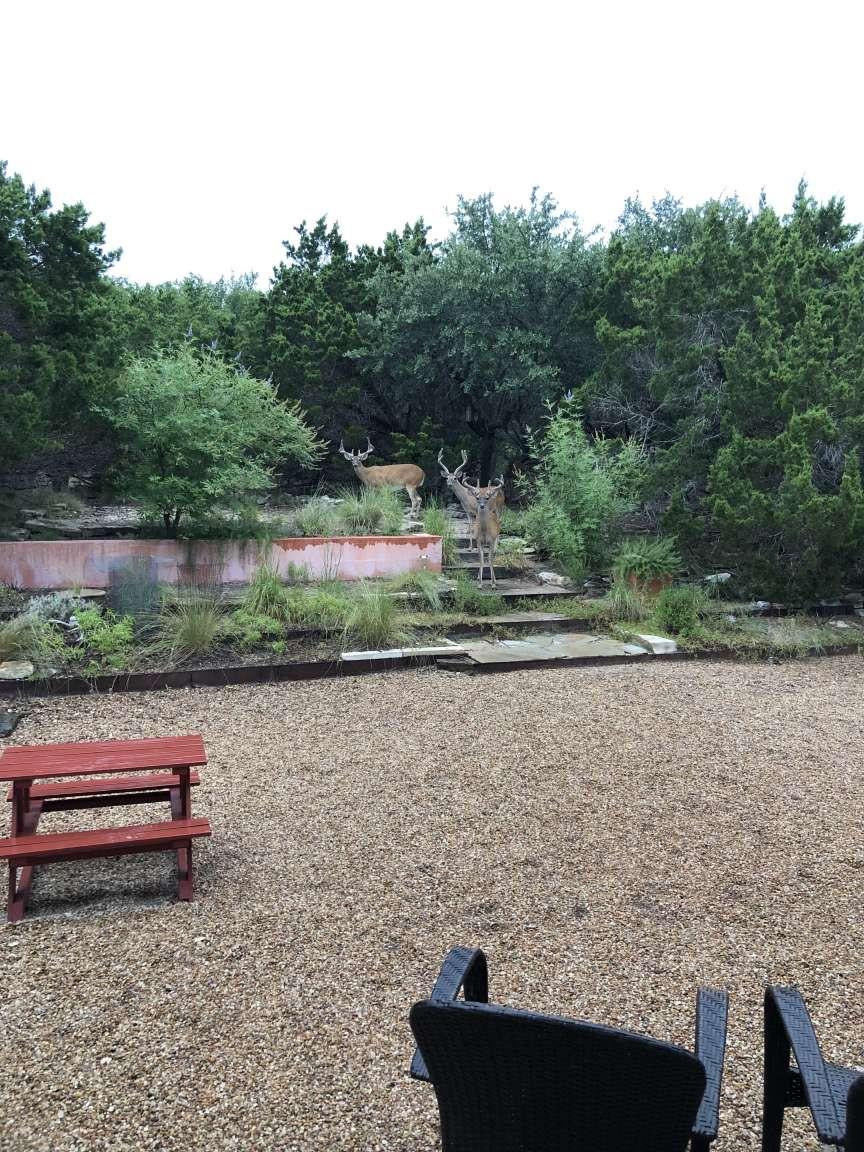 18220 Shepherds Corral, Dripping Springs, TX 78620