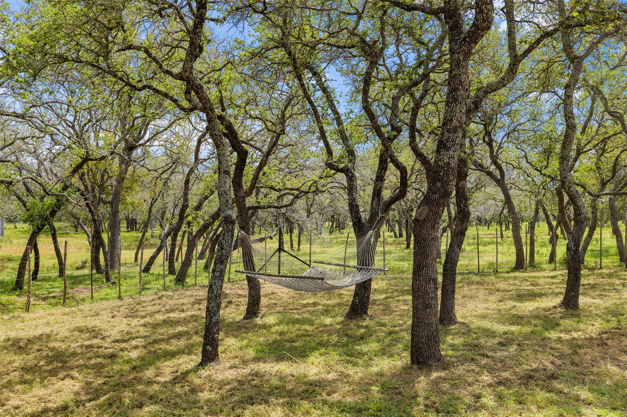 2631 N US Hwy 281, Johnson City, TX 78636