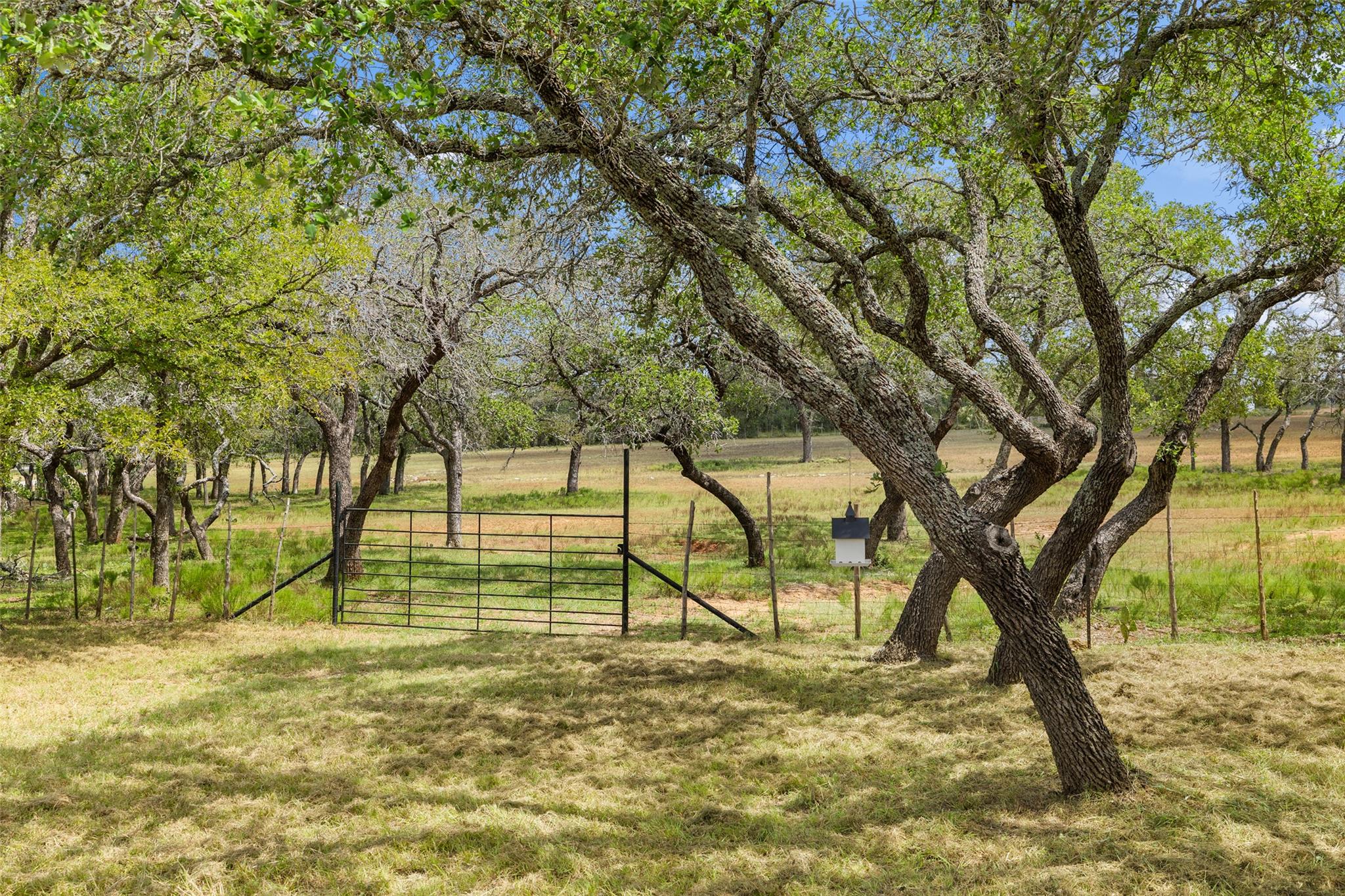 2631 N US Hwy 281, Johnson City, TX 78636