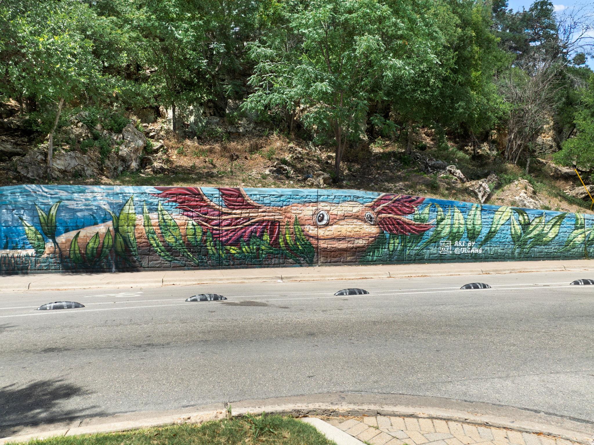 900 S Lamar Blvd # 304, Austin, TX 78704