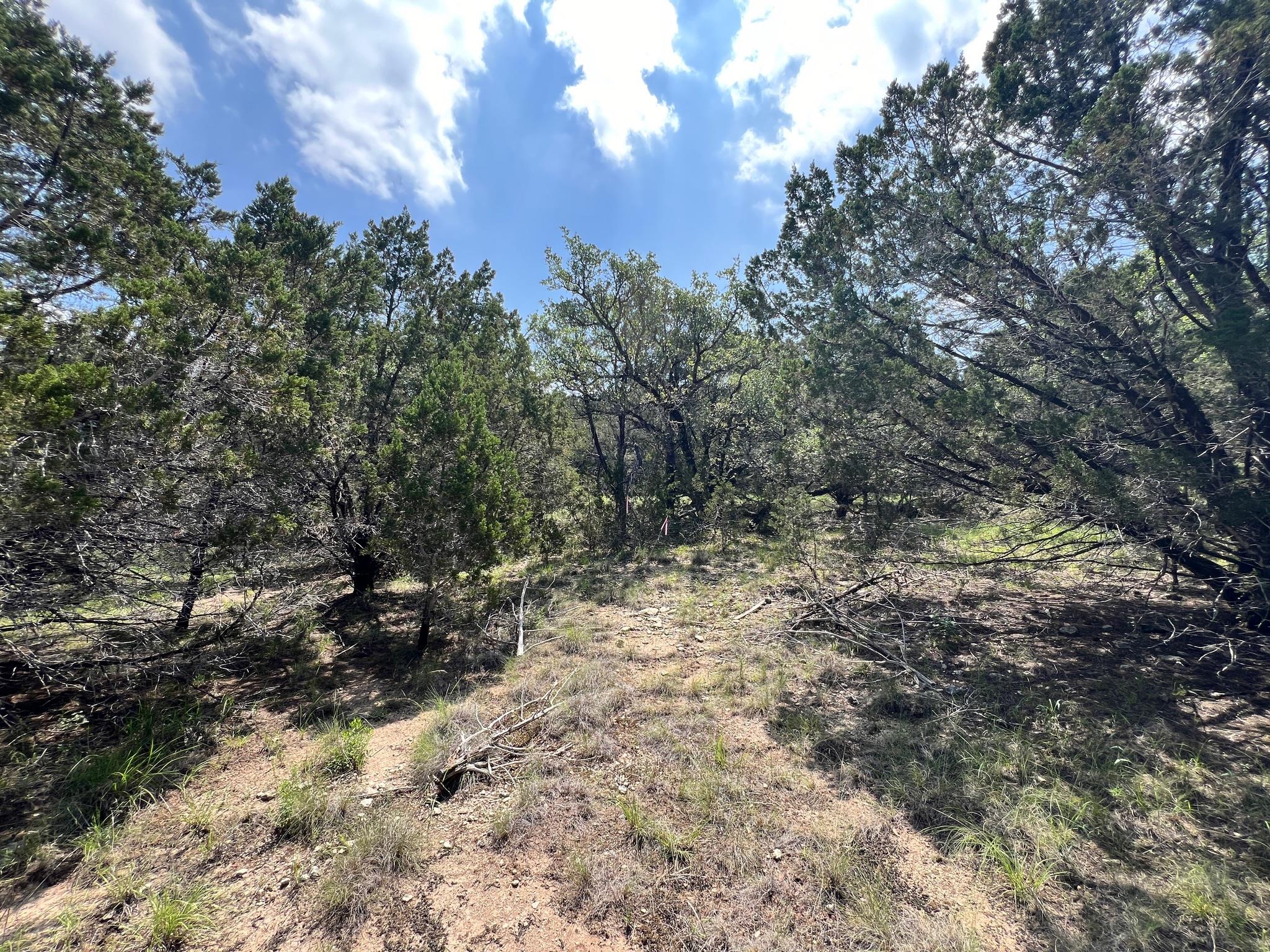 3401 Bell Cv, Lago Vista, TX 78645