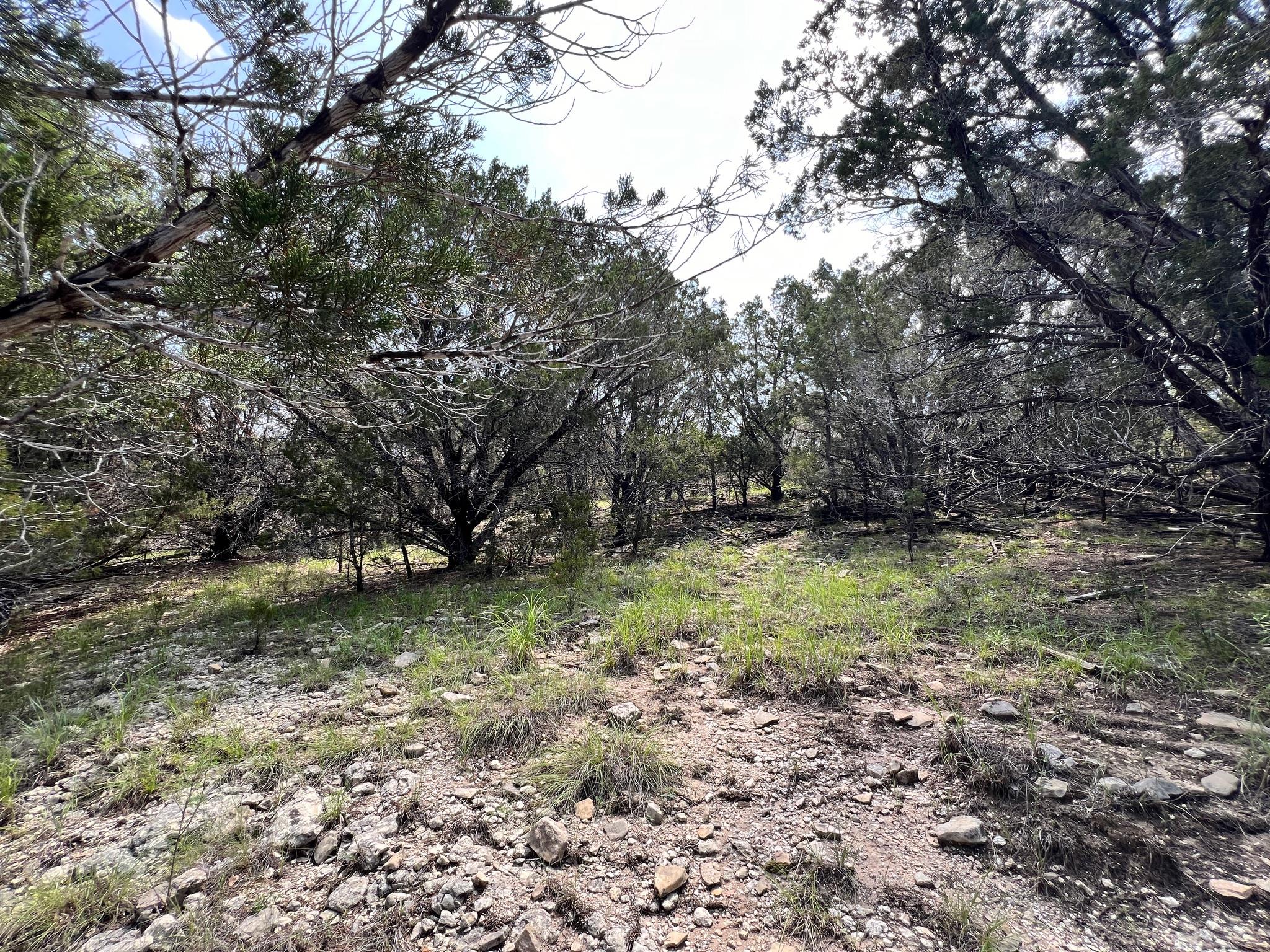3401 Bell Cv, Lago Vista, TX 78645