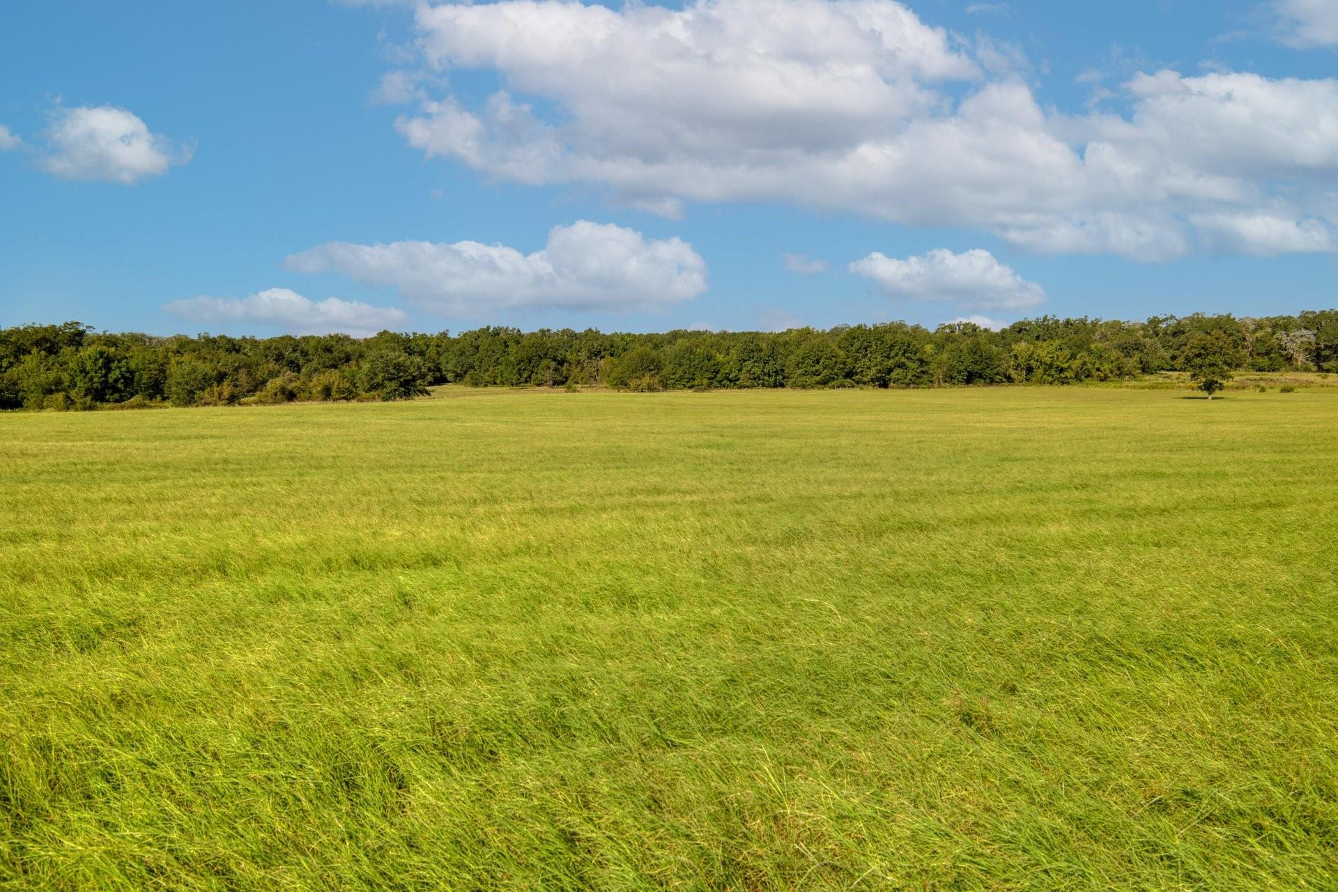 TBD CR 302, Rockdale, TX 76567