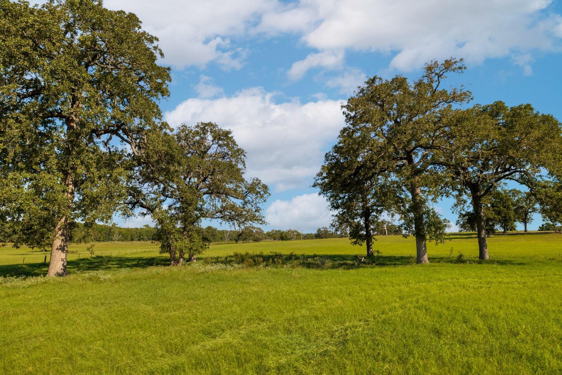 TBD CR 302, Rockdale, TX 76567