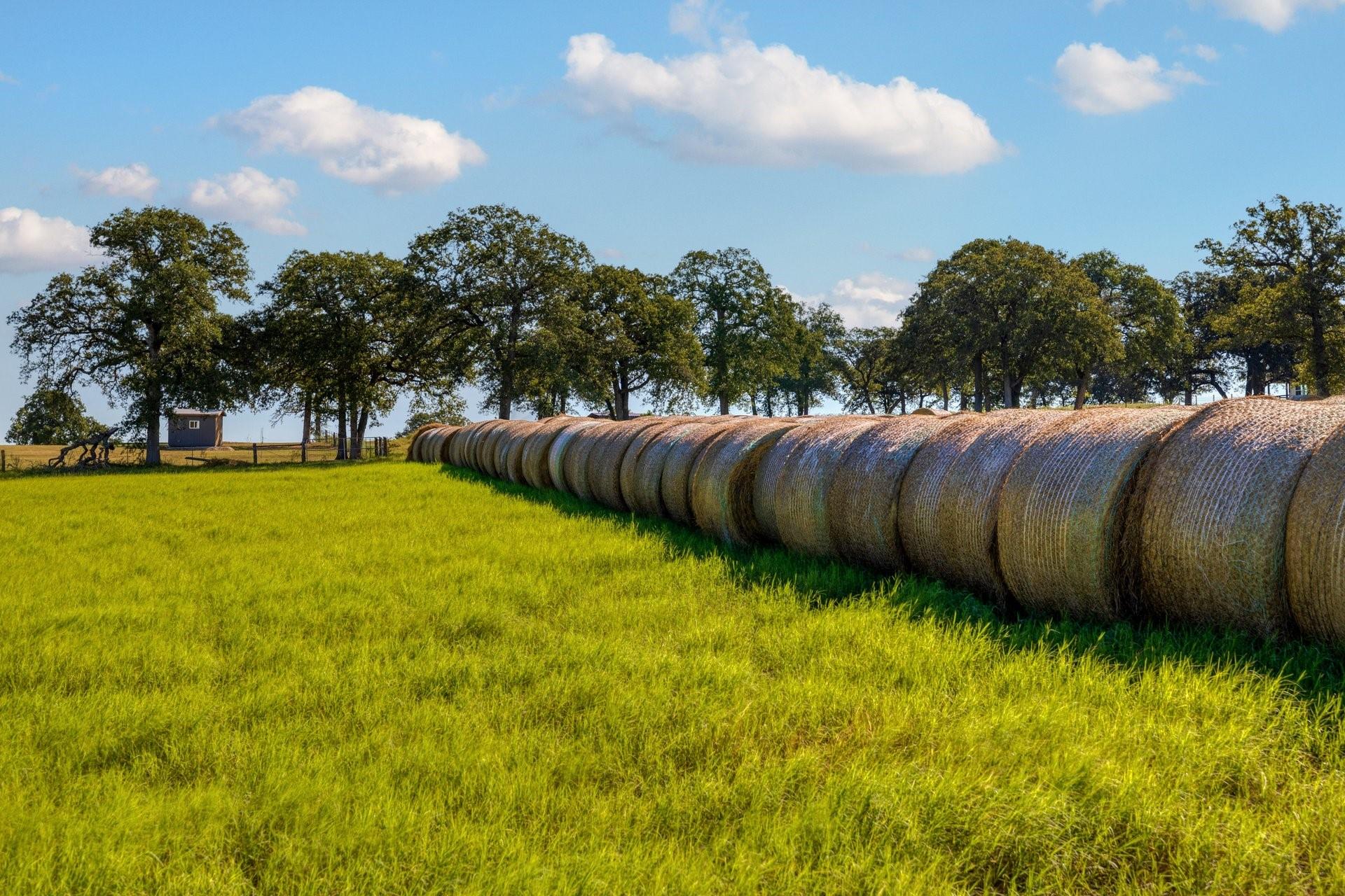 TBD CR 302, Rockdale, TX 76567