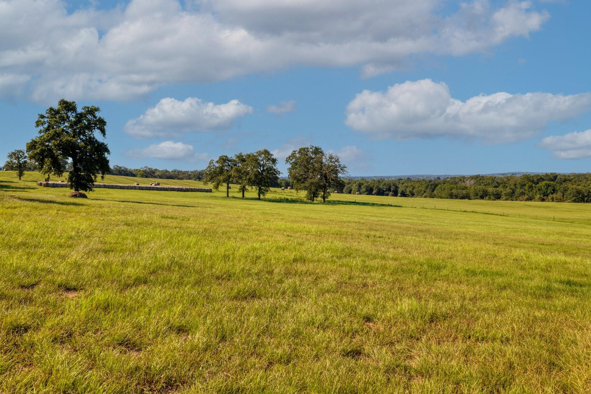 TBD CR 302, Rockdale, TX 76567