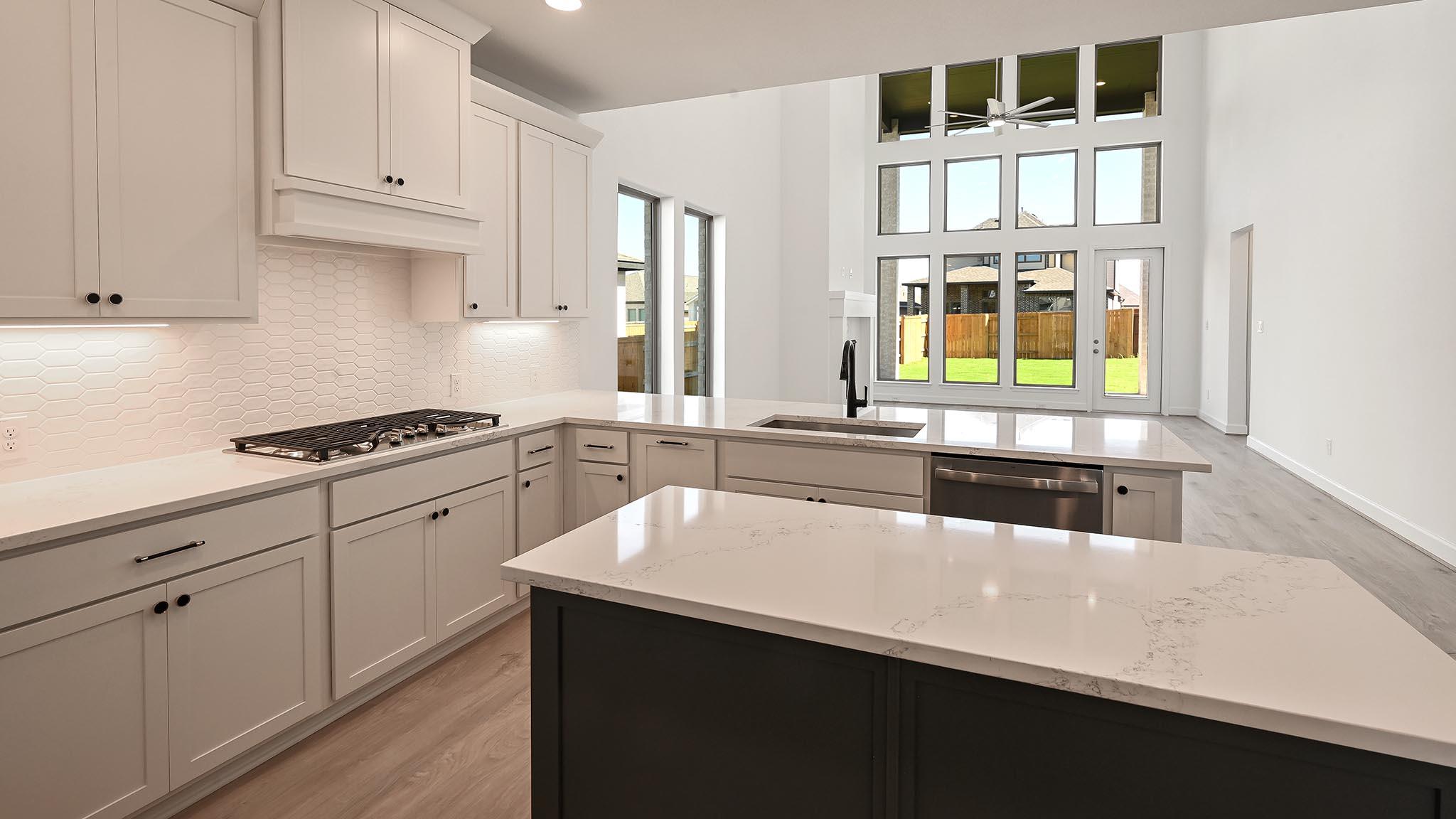 315 Prickly Poppy Loop, Kyle, TX 78640