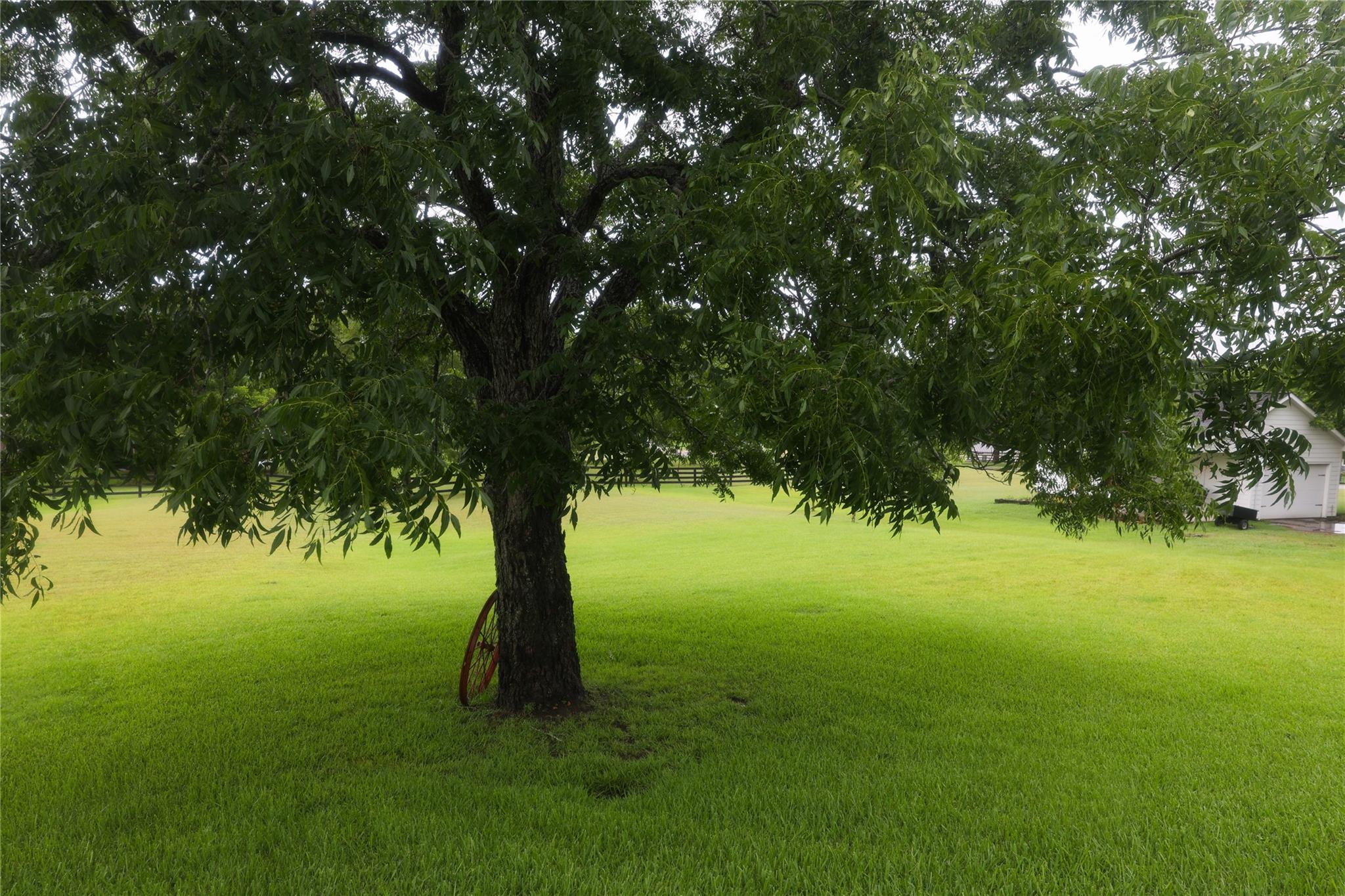 9165 Meadow Creek Ln, Chappell Hill, TX 77426