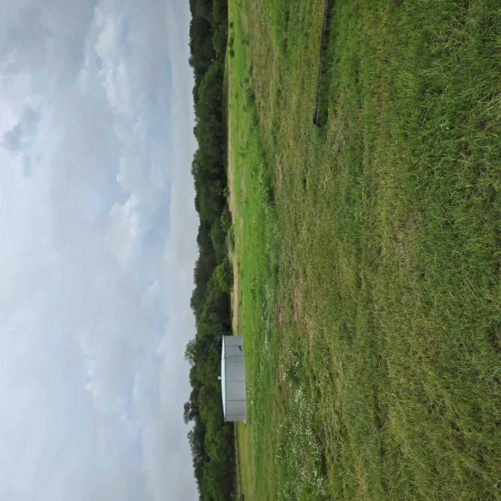 257 Little Quail Ln, Seguin, TX 78155