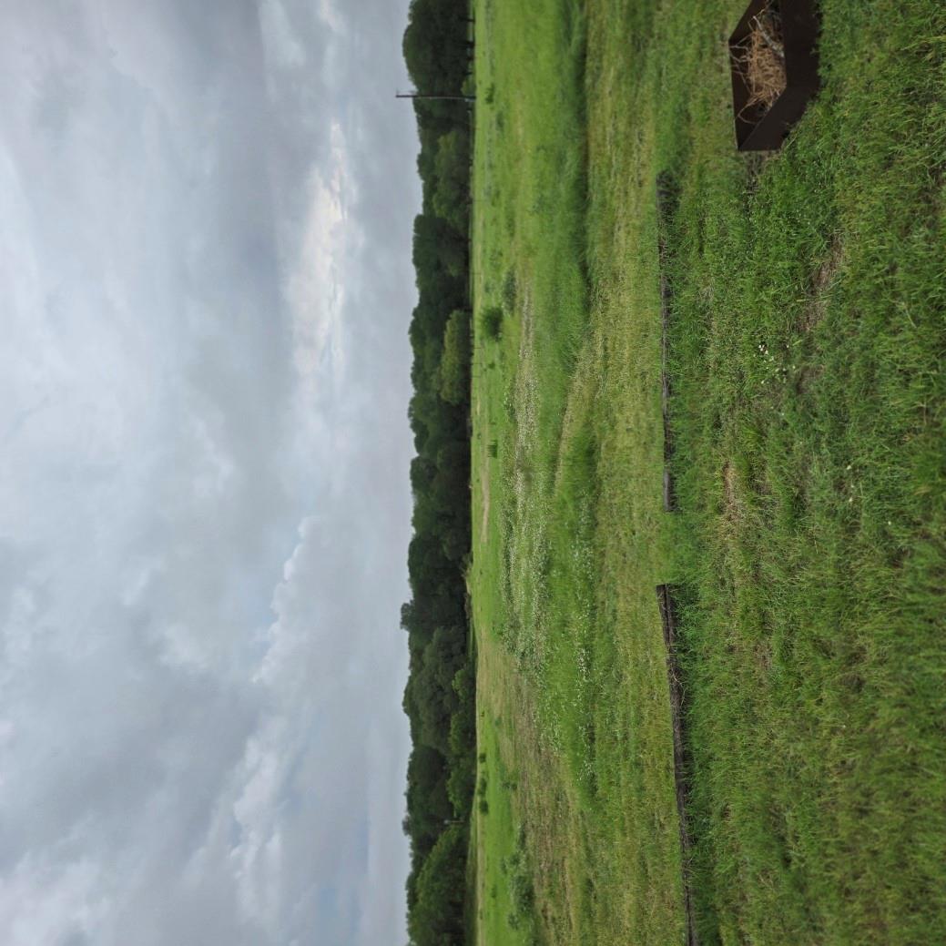 257 Little Quail Ln, Seguin, TX 78155