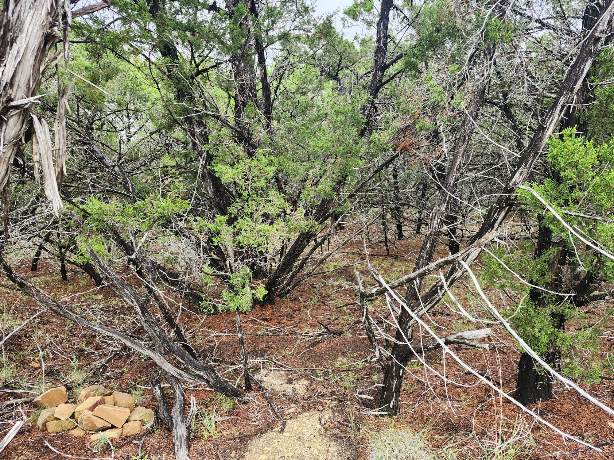 7707 Sagebrush Trl, Lago Vista, TX 78645