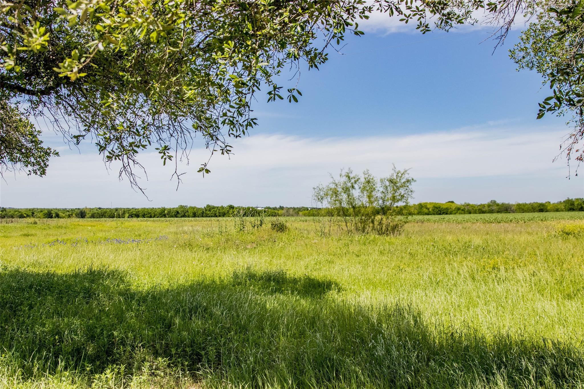 13522 Fm-1100, Manor, TX 78653