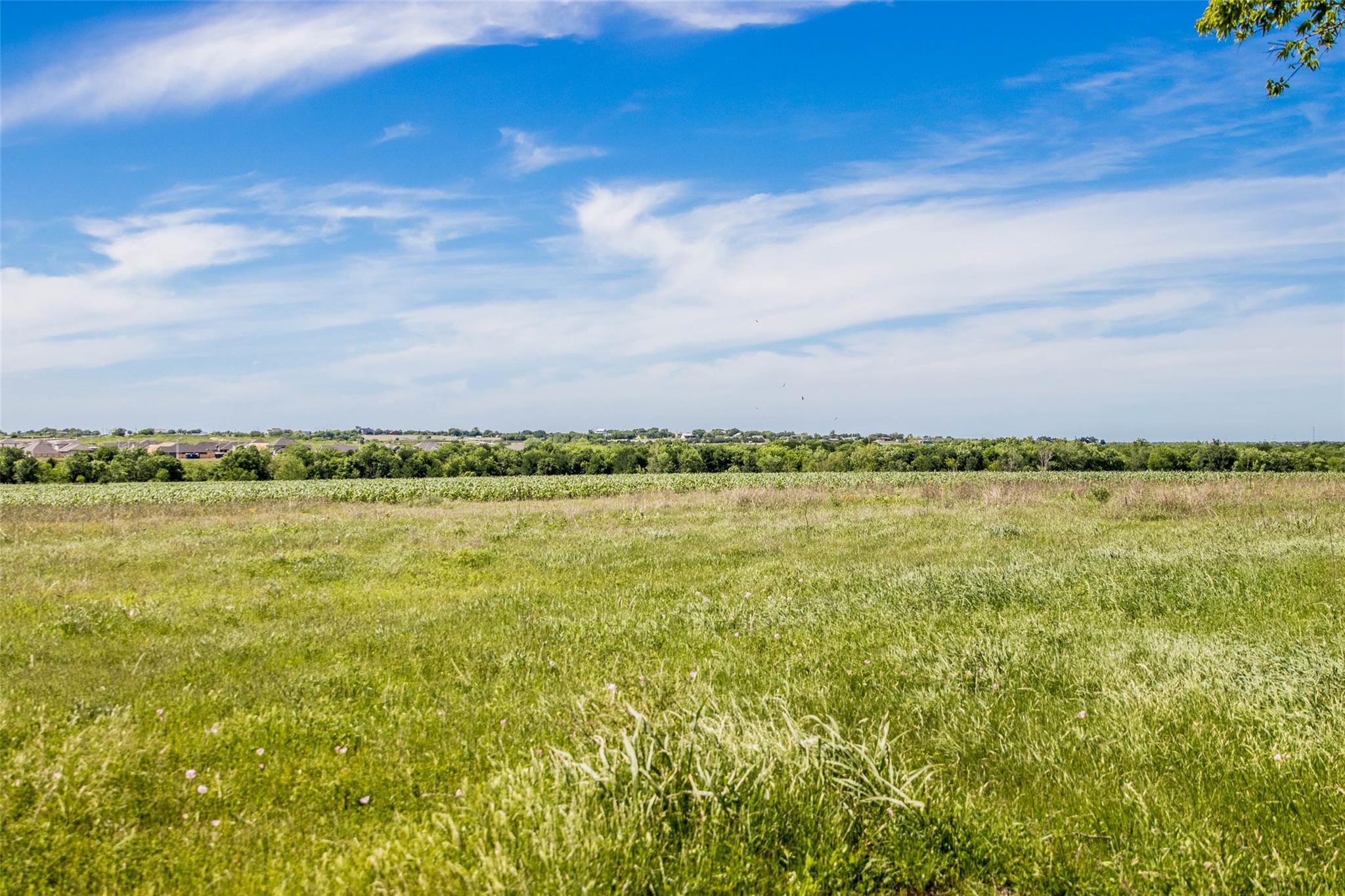 13522 Fm-1100, Manor, TX 78653