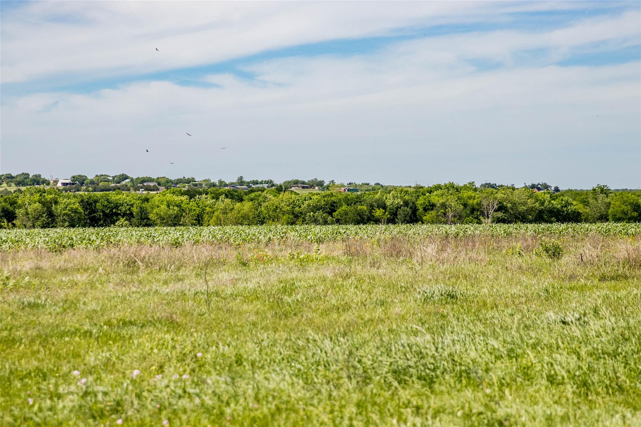 13522 Fm-1100, Manor, TX 78653