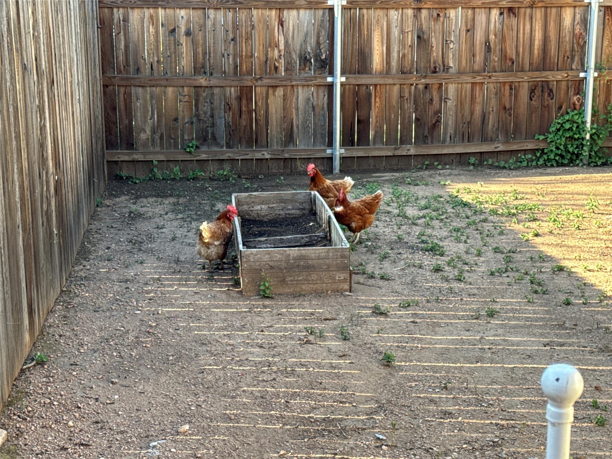 746 Pecan Ln, Cottonwood Shores, TX 78657