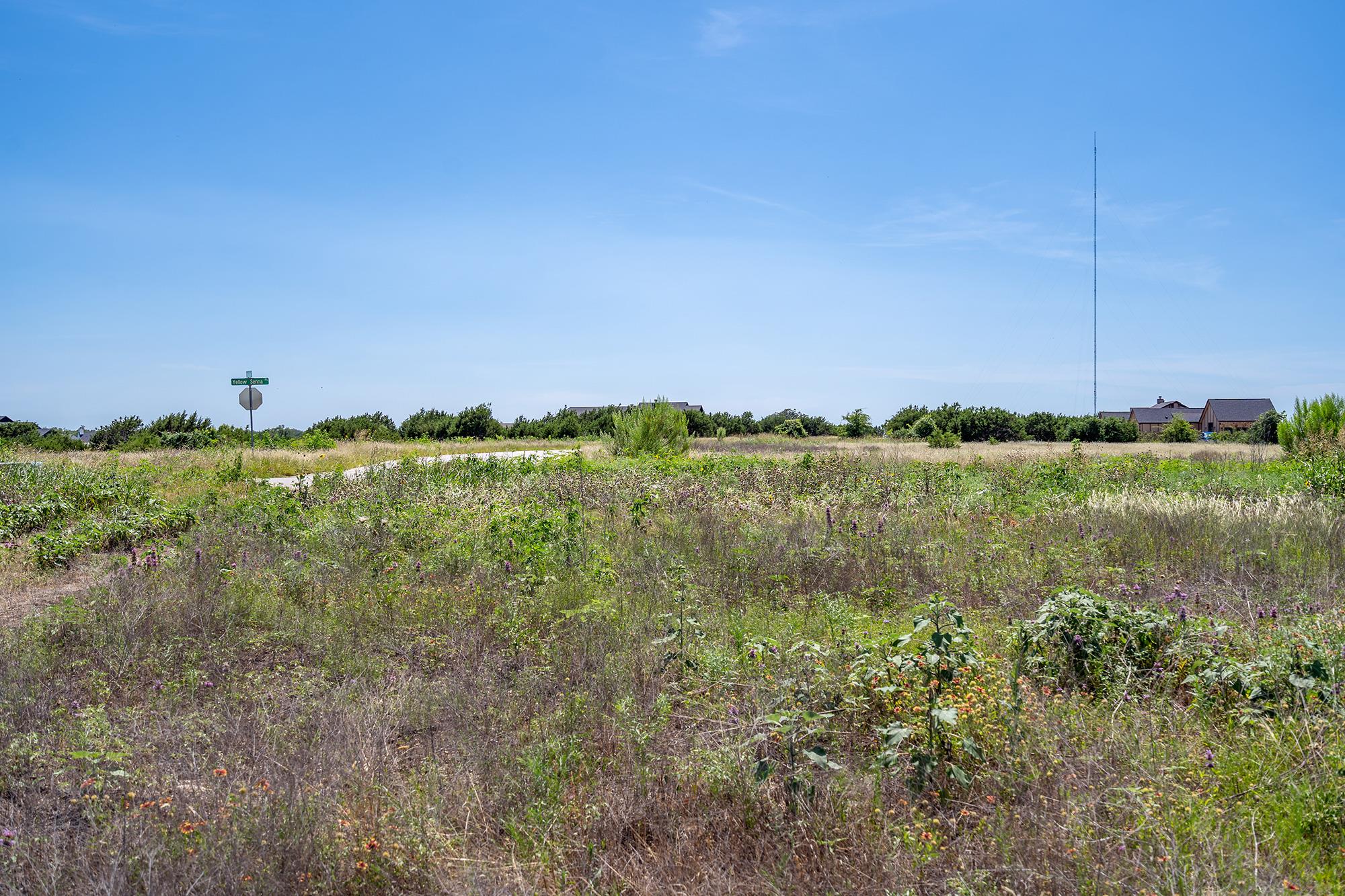 200 Yellow Senna Pl, Liberty Hill, TX 78642