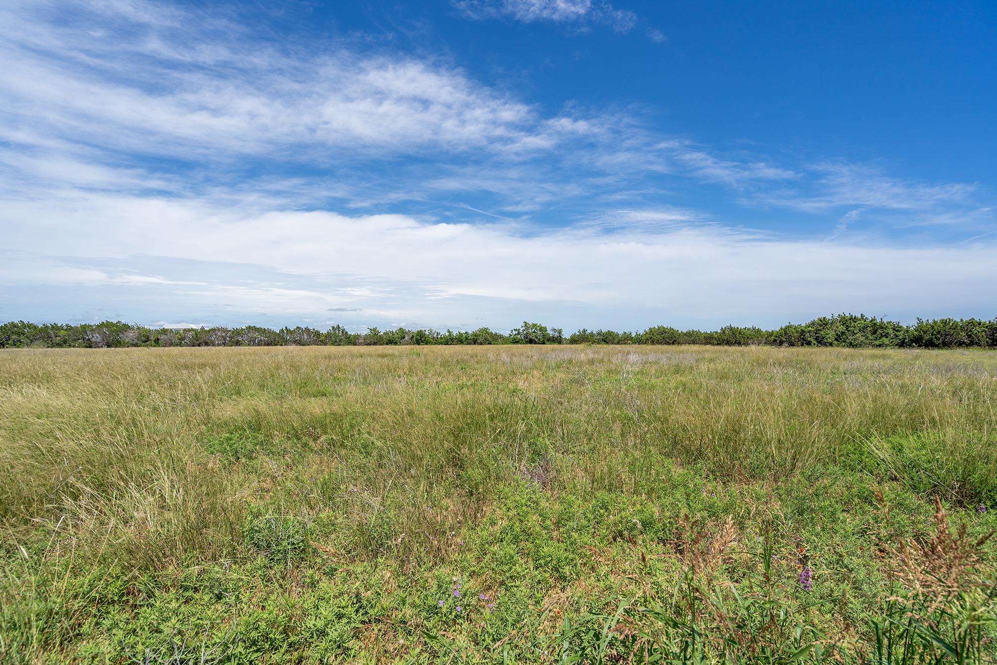 200 Yellow Senna Pl, Liberty Hill, TX 78642