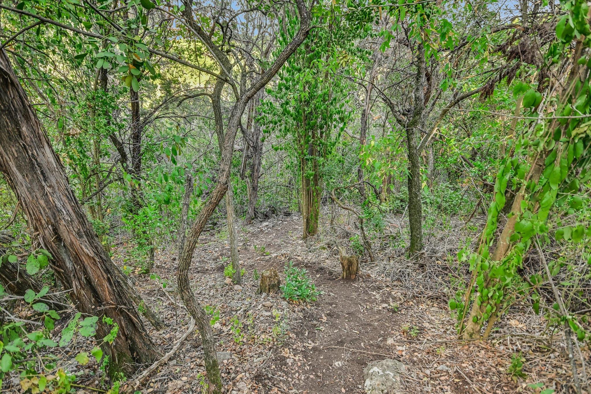 1707 Spyglass Dr # 41, Austin, TX 78746