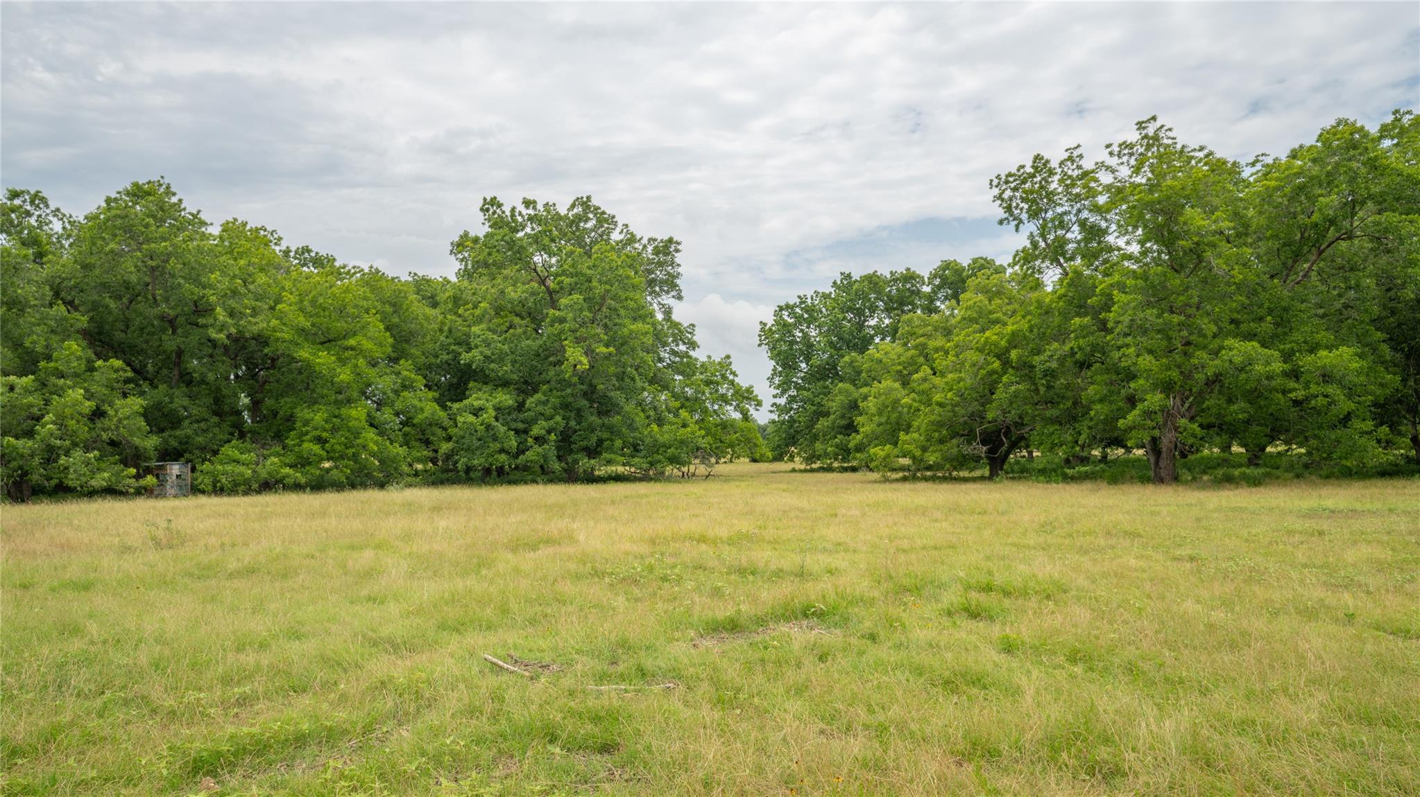 0000 CR 227, Cameron, TX 76520
