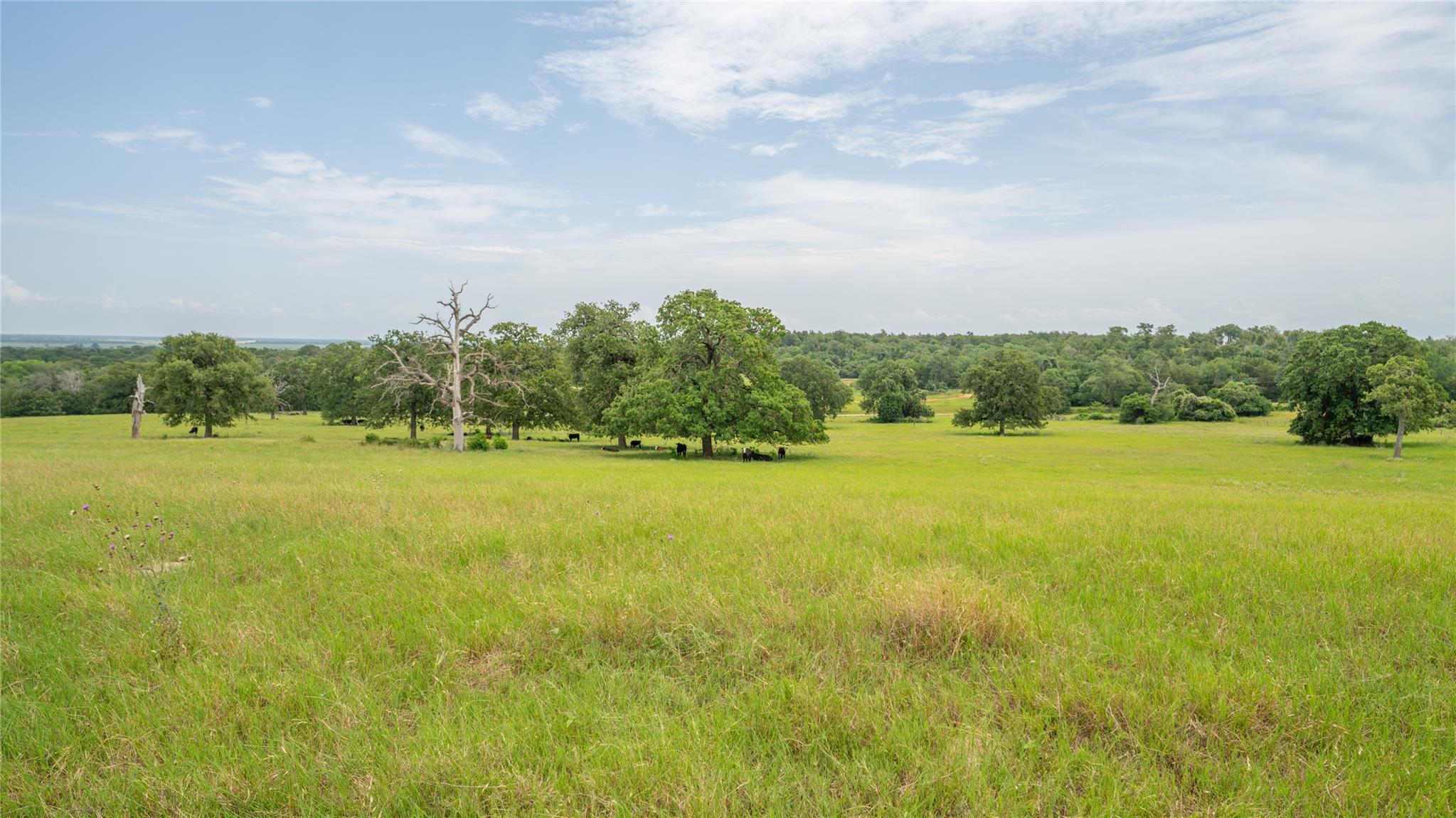 0000 CR 227, Cameron, TX 76520