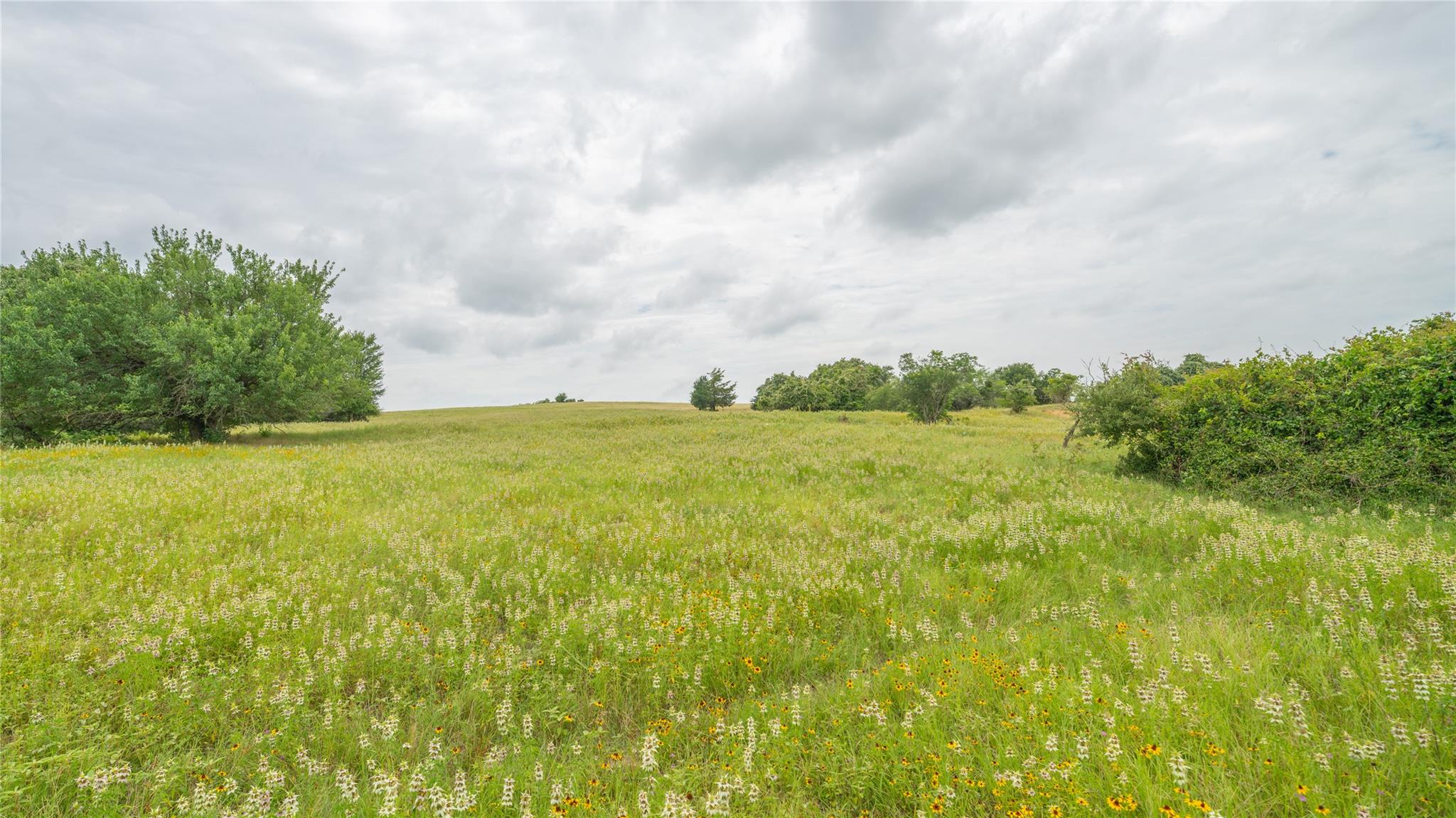 0000 CR 227, Cameron, TX 76520