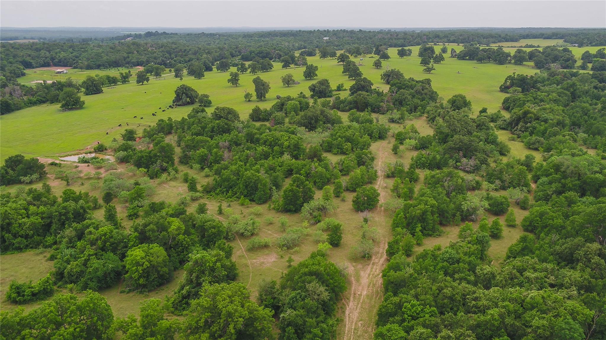 0000 CR 227, Cameron, TX 76520