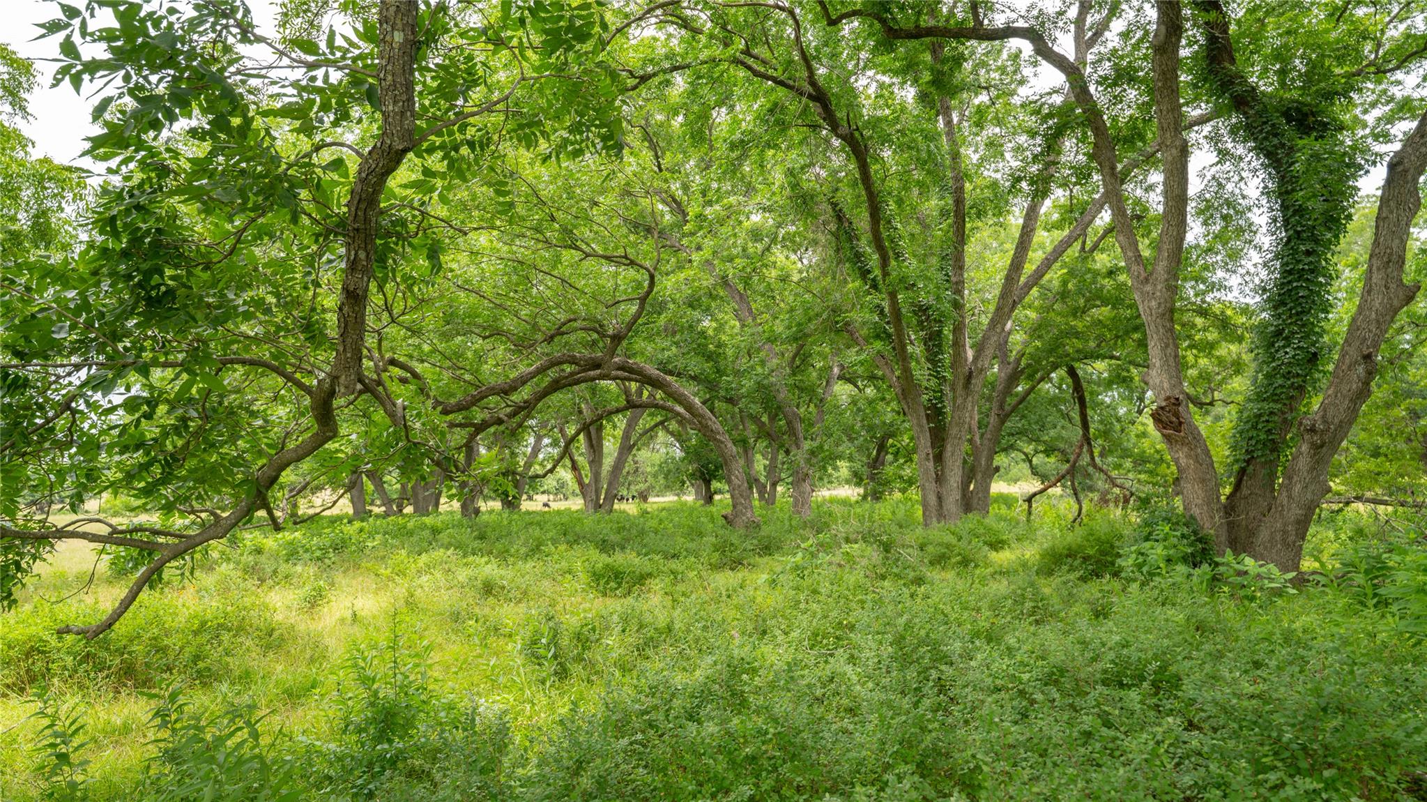 0000 CR 227, Cameron, TX 76520