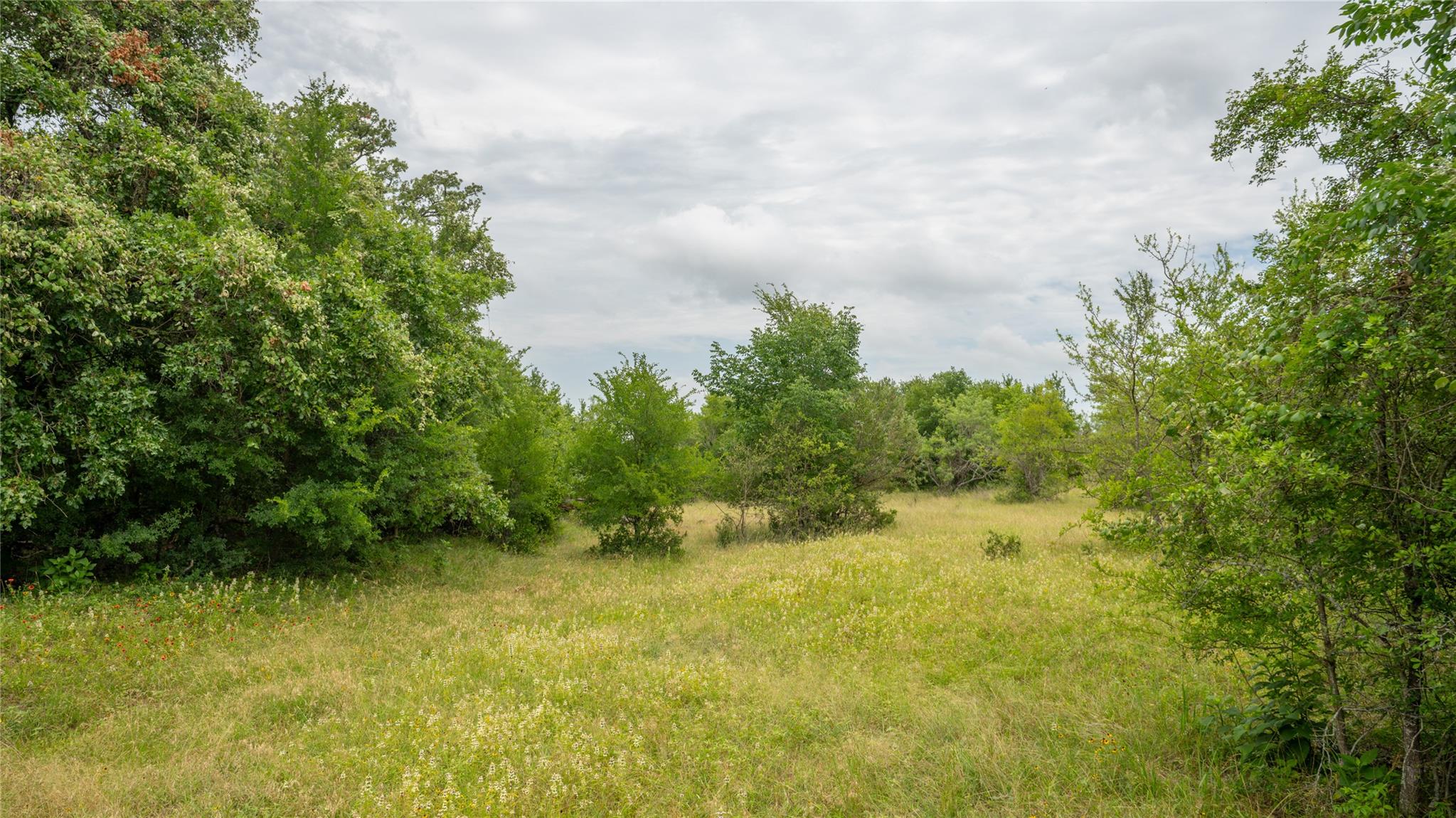 0000 CR 227, Cameron, TX 76520