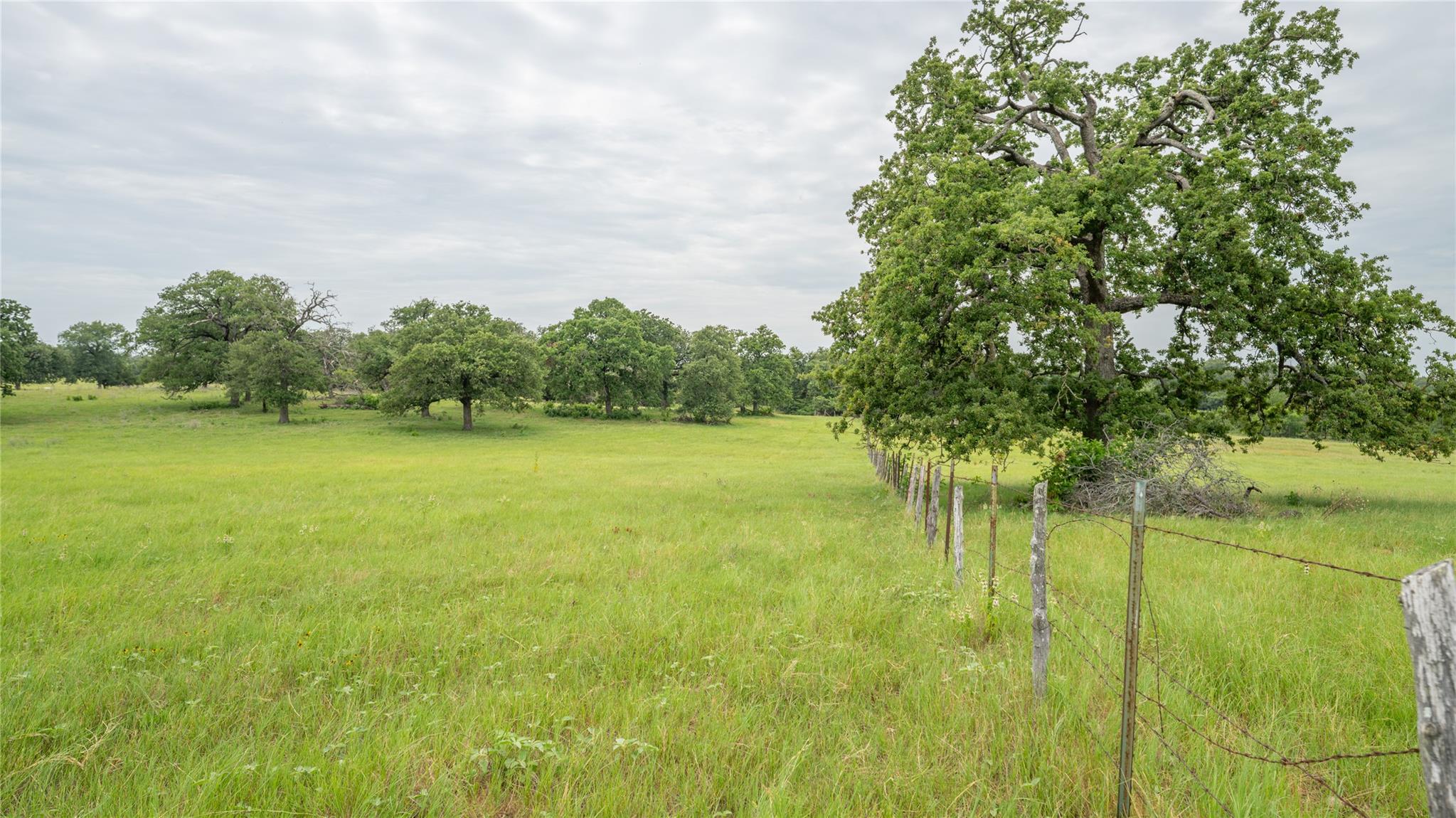 0000 CR 227, Cameron, TX 76520