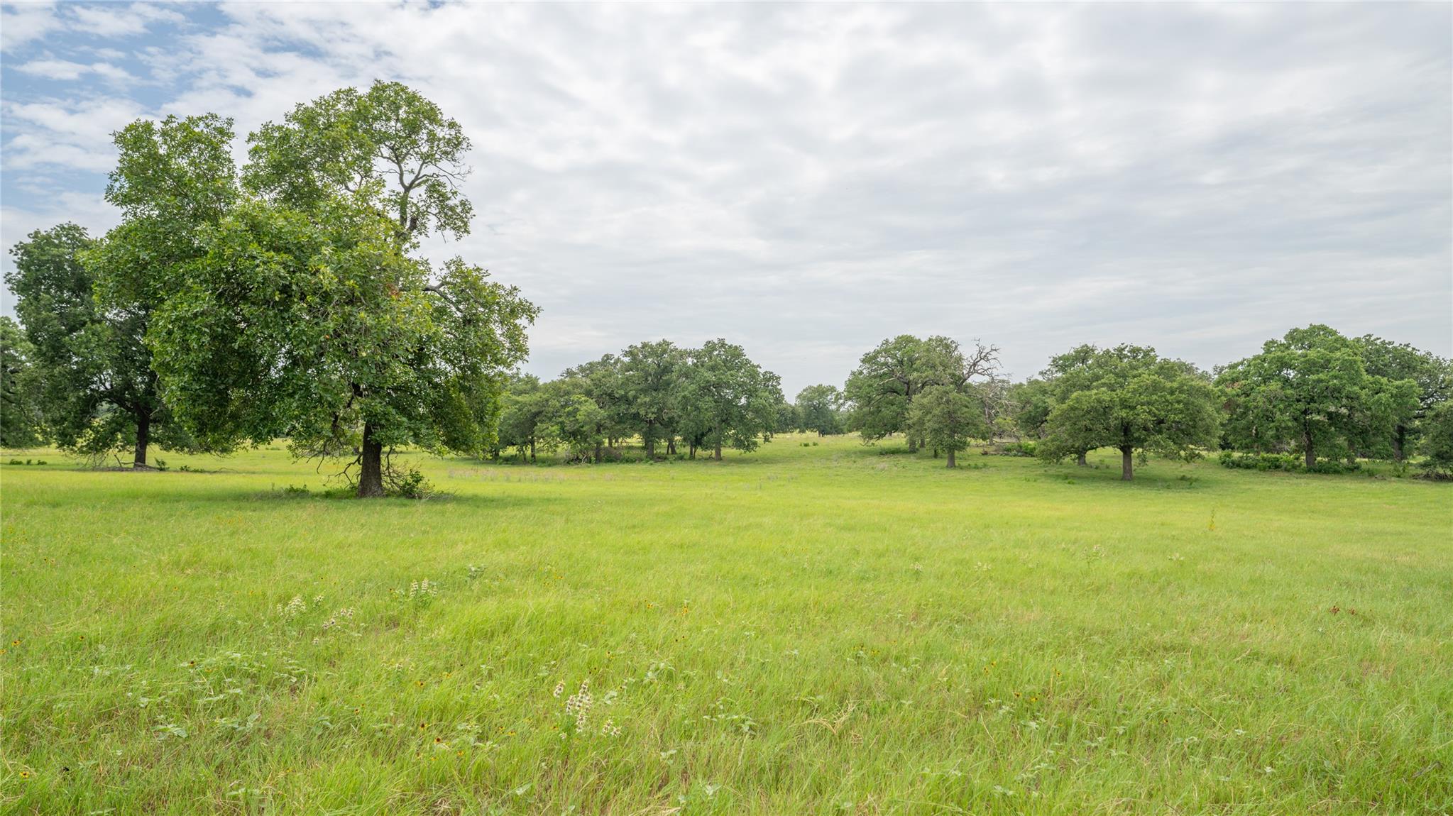 0000 CR 227, Cameron, TX 76520
