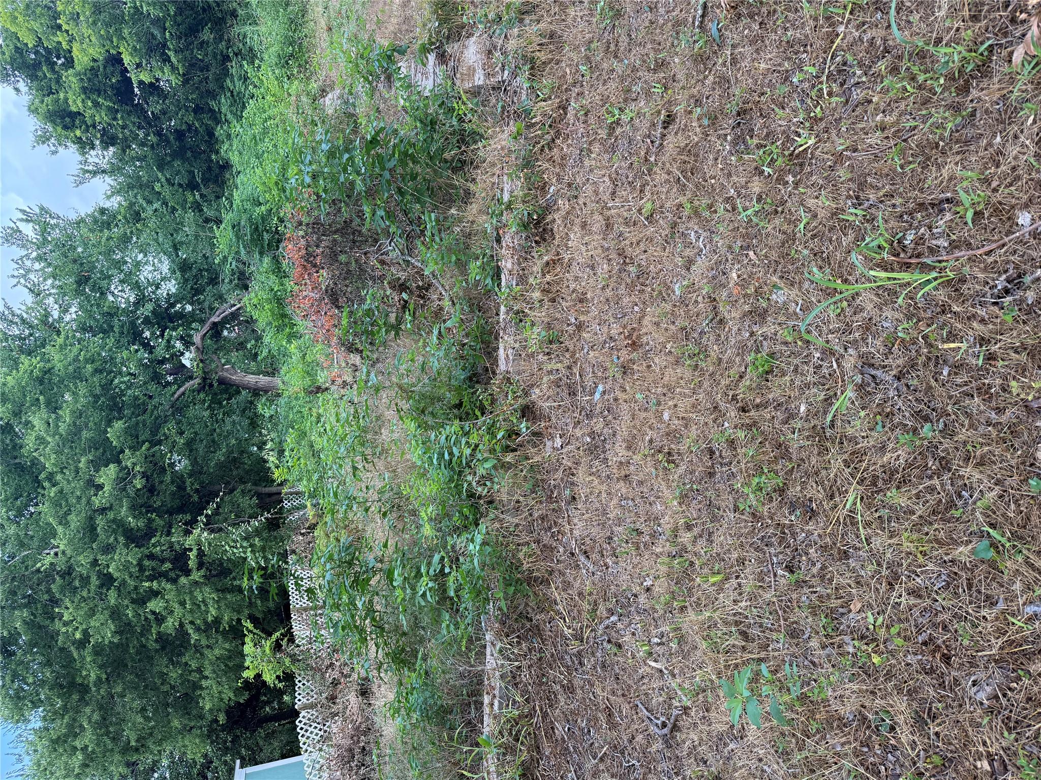 708 N Polk Ave, Cameron, TX 76520