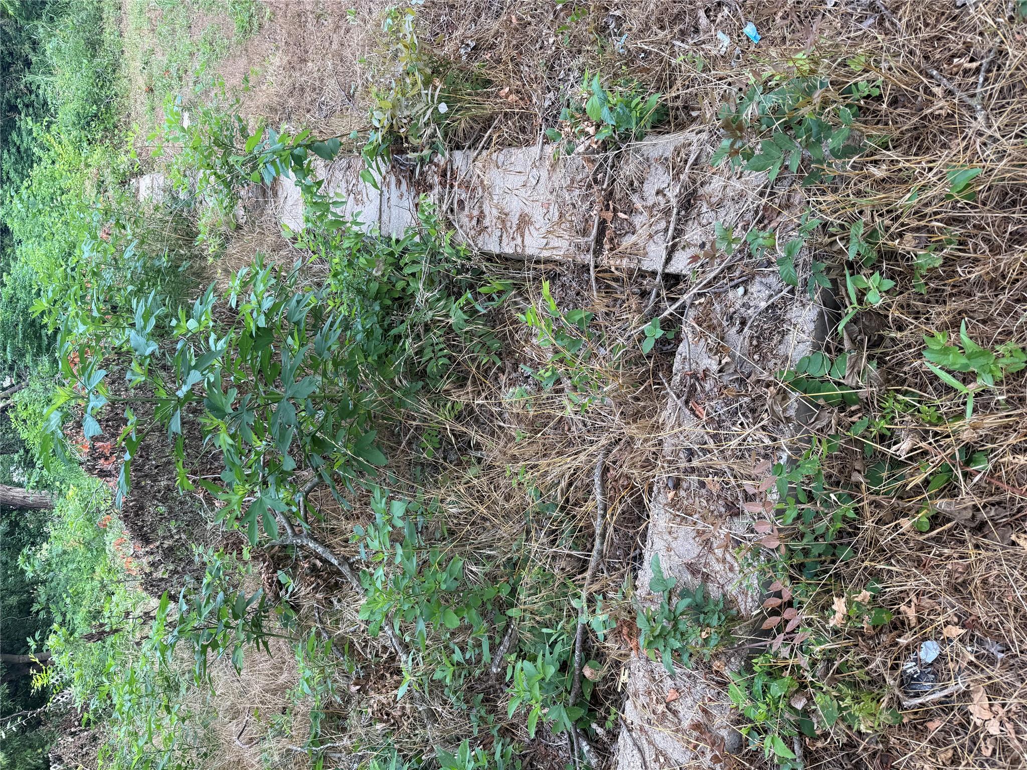 708 N Polk Ave, Cameron, TX 76520