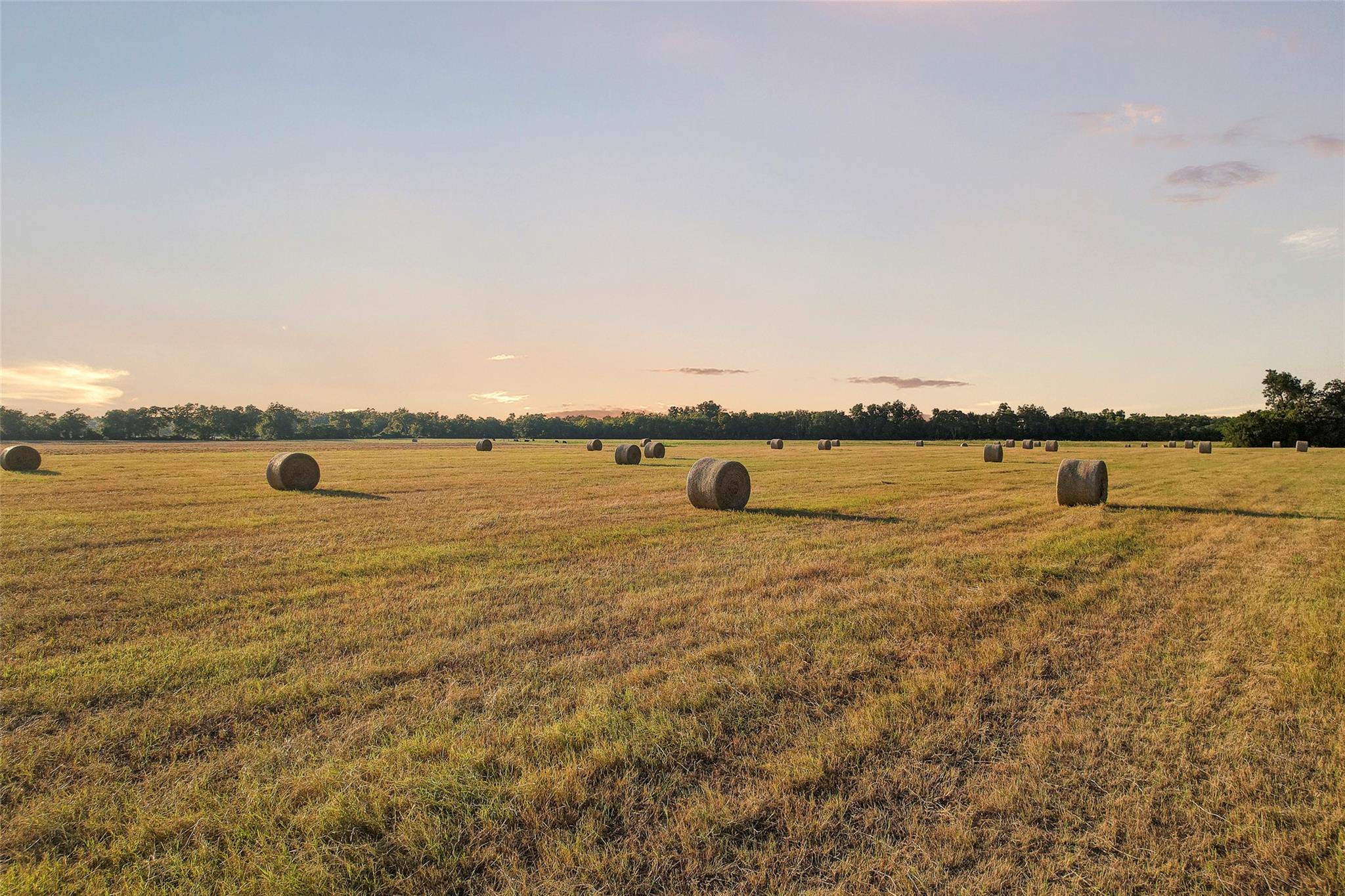TBD FM 973, Taylor, TX 76574