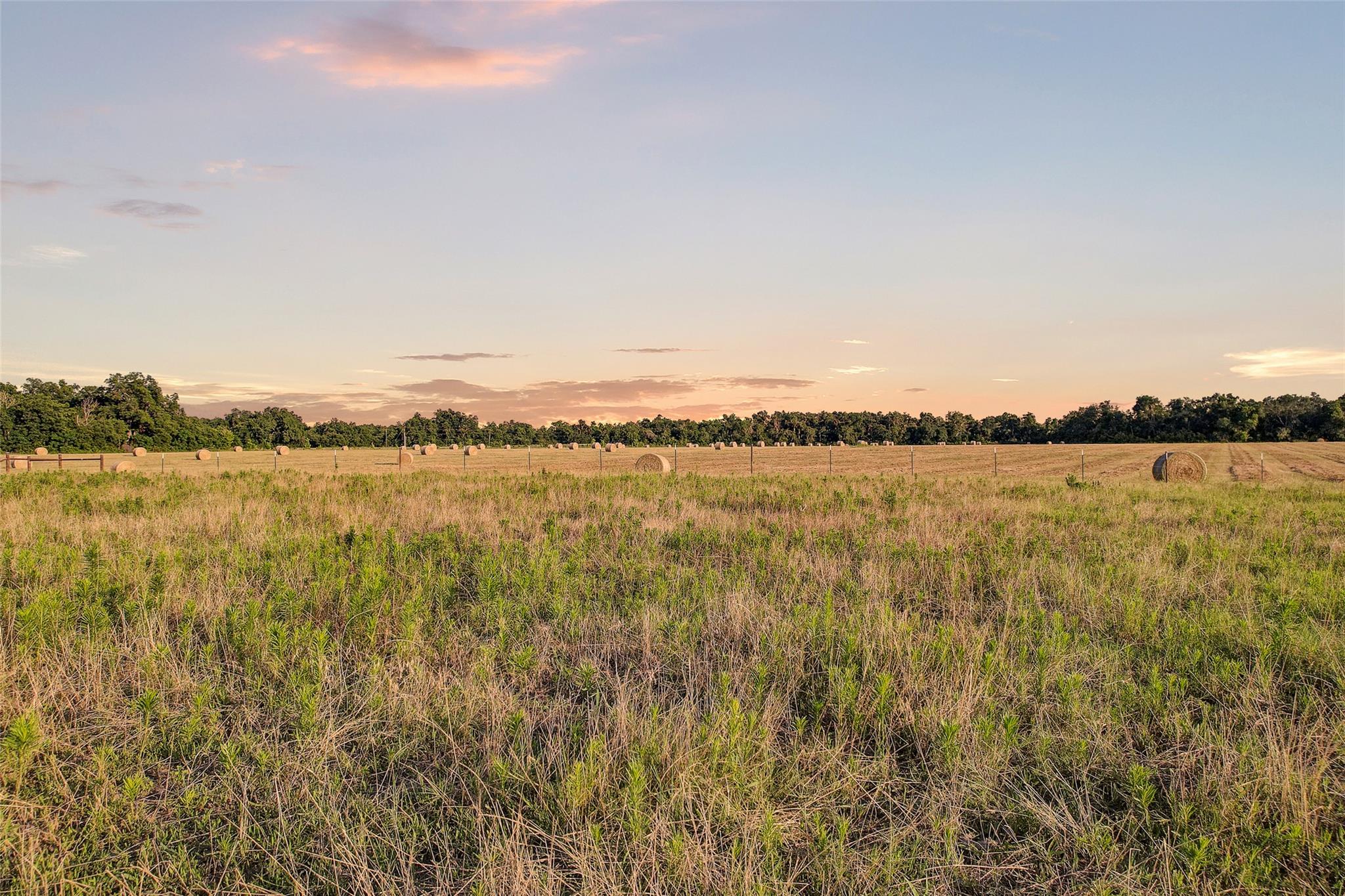 TBD FM 973, Taylor, TX 76574