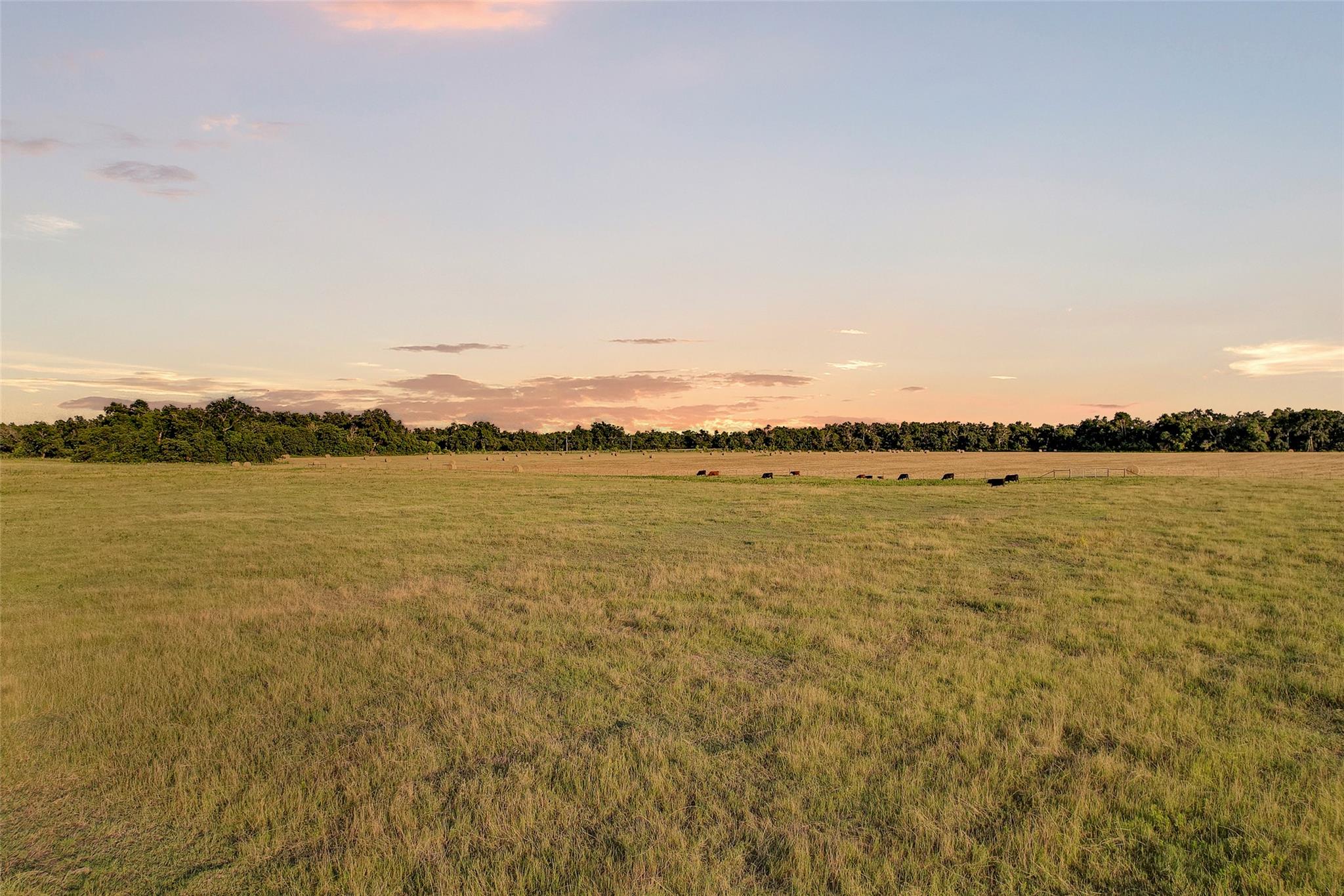 TBD FM 973, Taylor, TX 76574