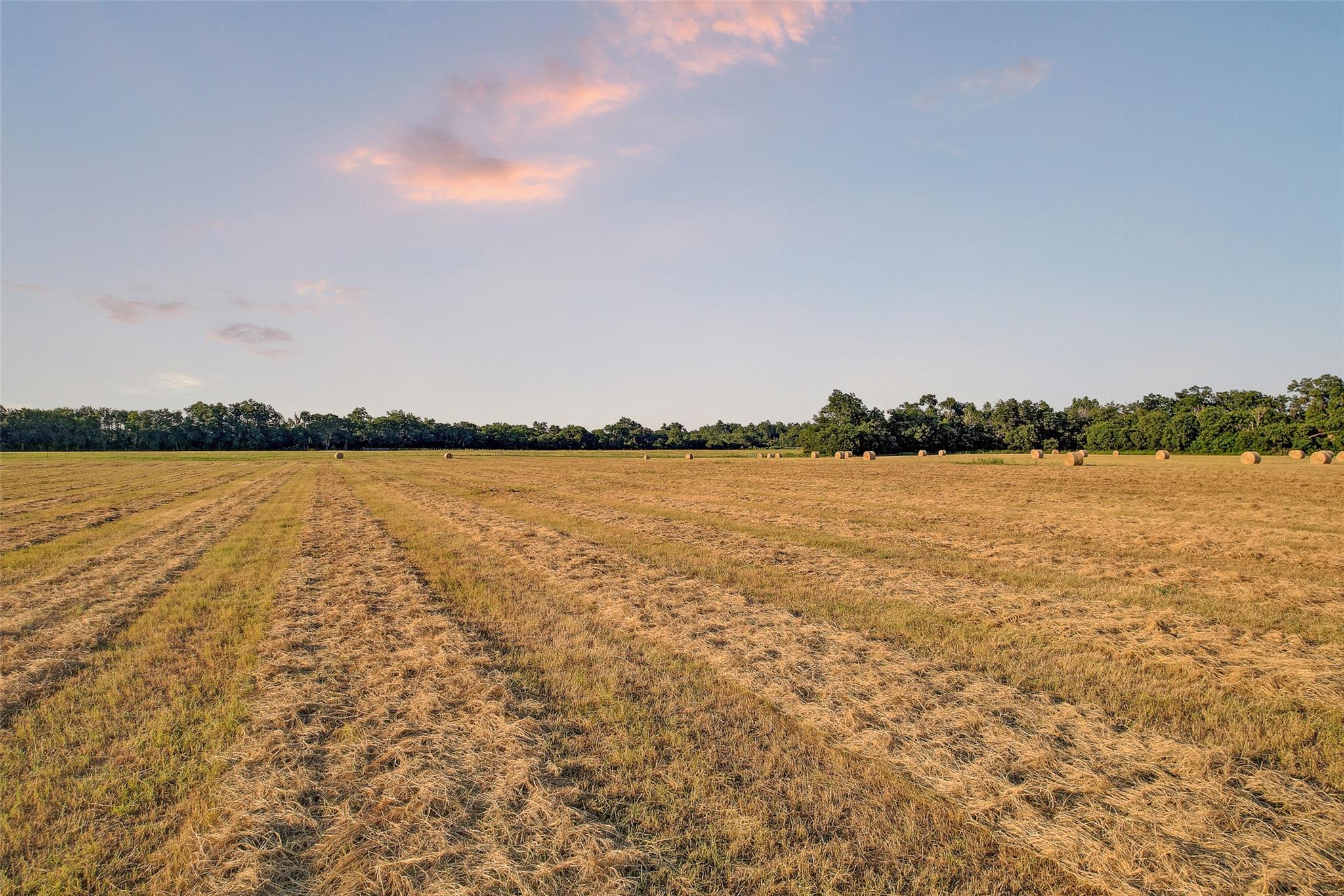 TBD FM 973, Taylor, TX 76574