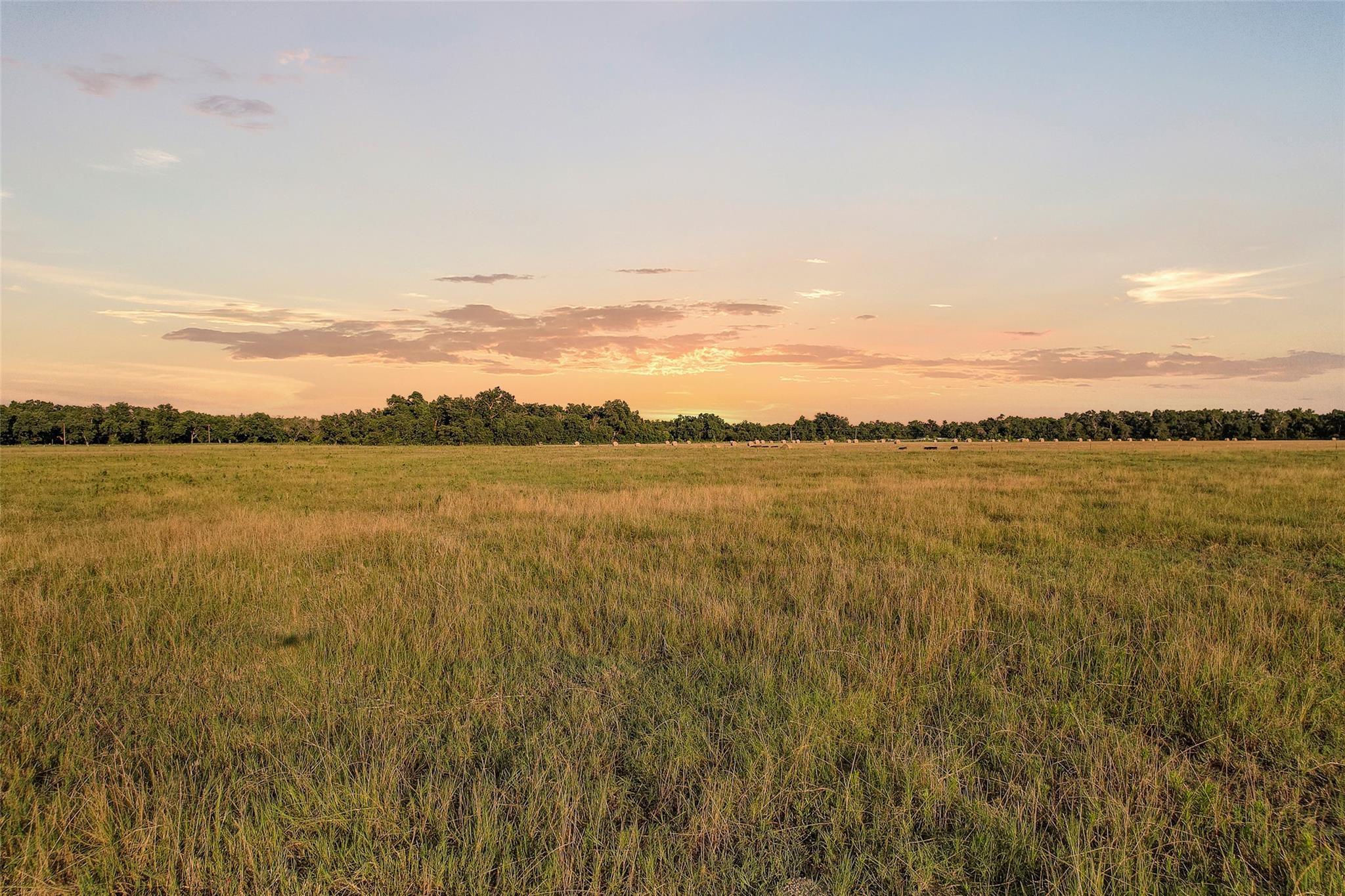 TBD FM 973, Taylor, TX 76574