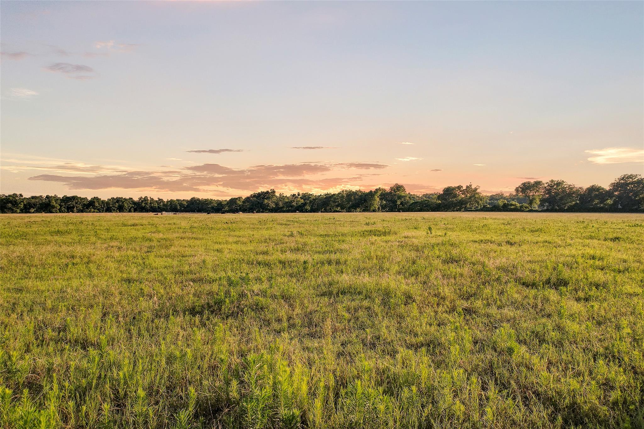 TBD FM 973, Taylor, TX 76574