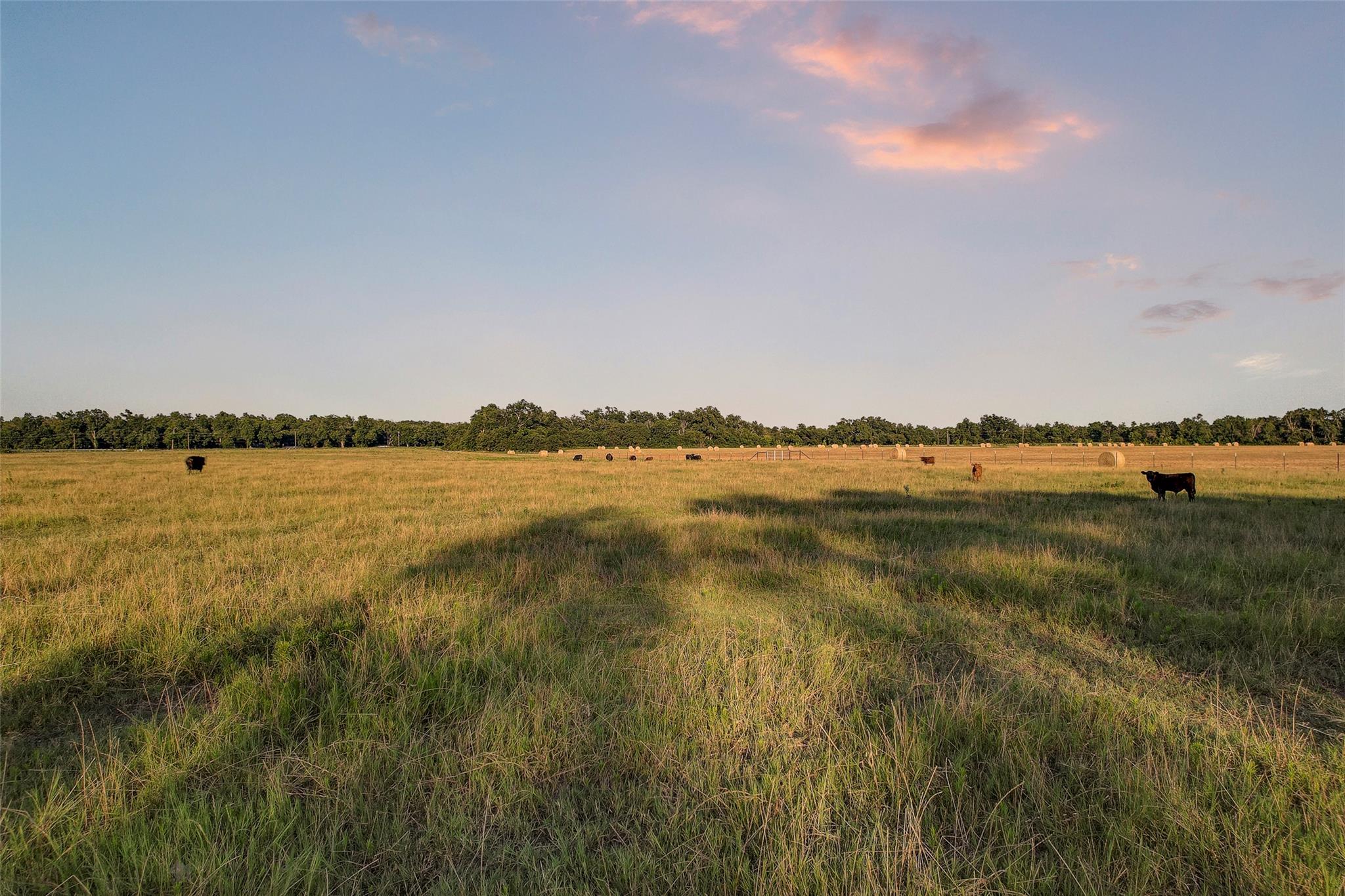 TBD FM 973, Taylor, TX 76574