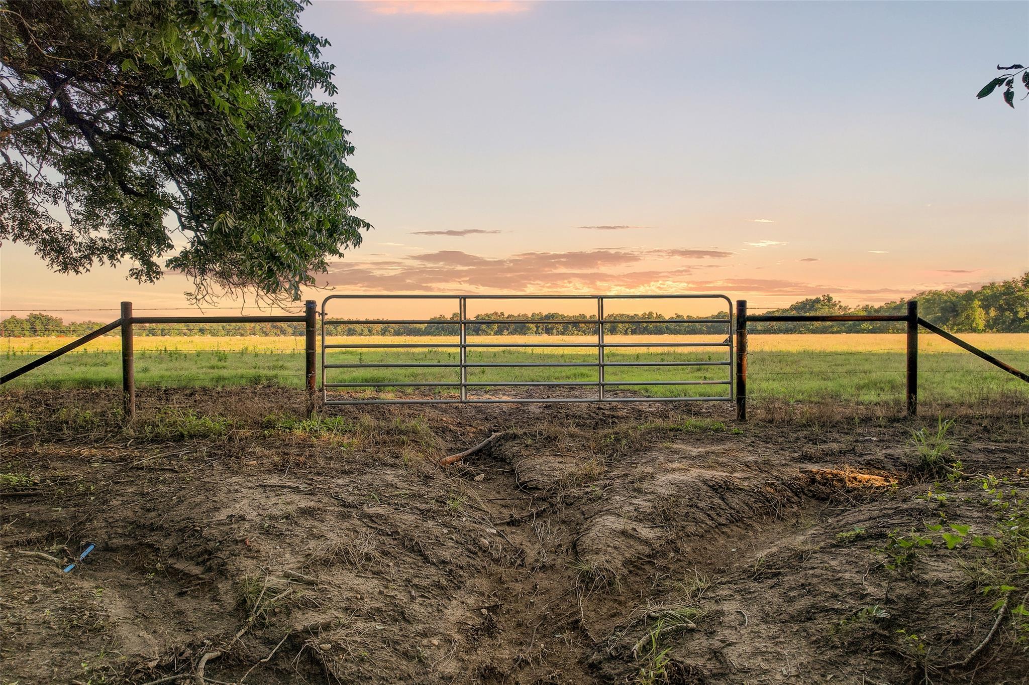TBD FM 973, Taylor, TX 76574