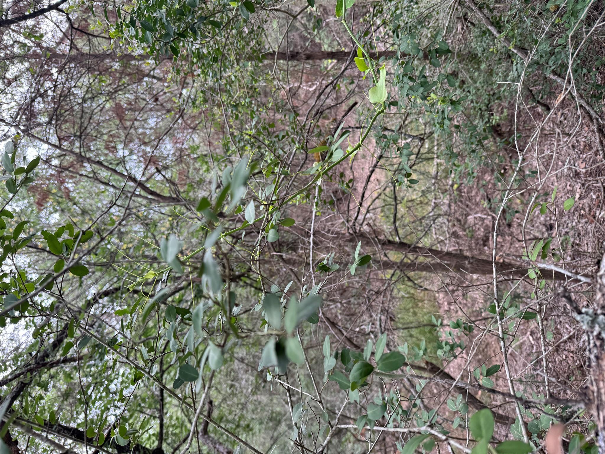 Lot 1034 Kawainui Dr, Bastrop, TX 78602