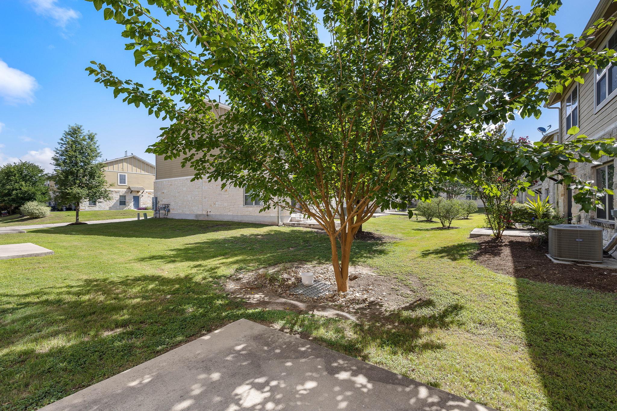 1620 Bryant Dr # 303, Round Rock, TX 78664
