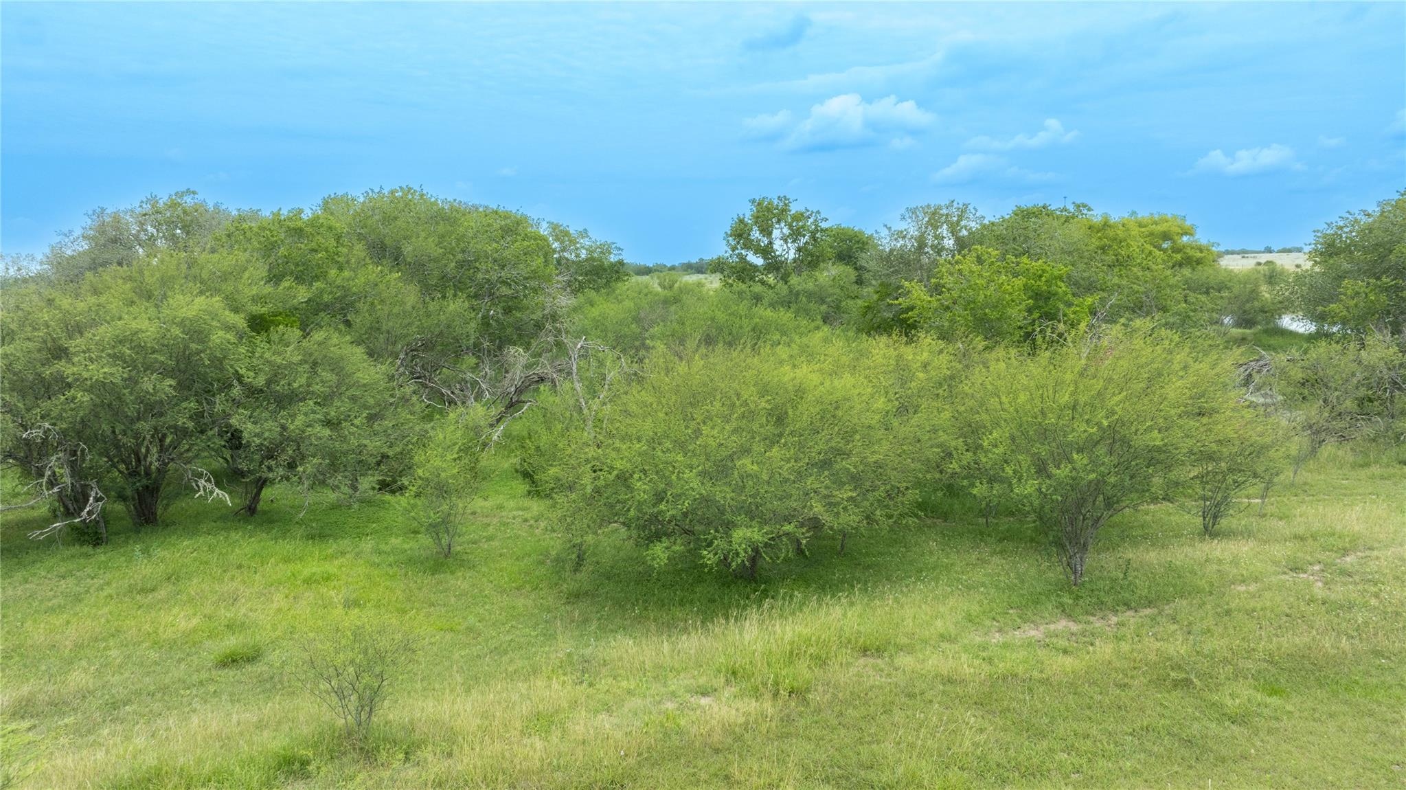 Lot 1 Concrete Edgar Rd, Cuero, TX 77954