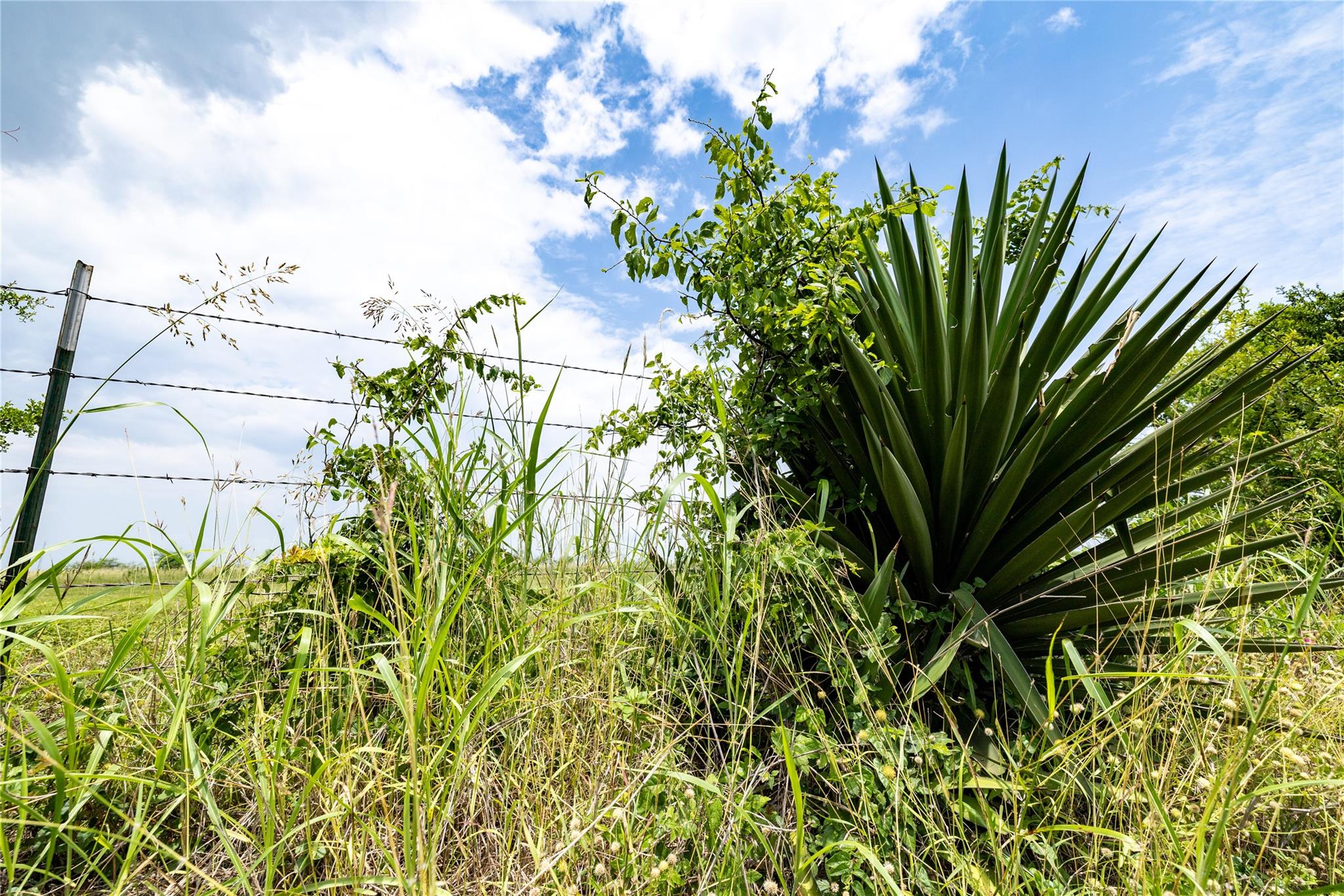 Lot 8 Concrete Edgar Rd, Cuero, TX 77954