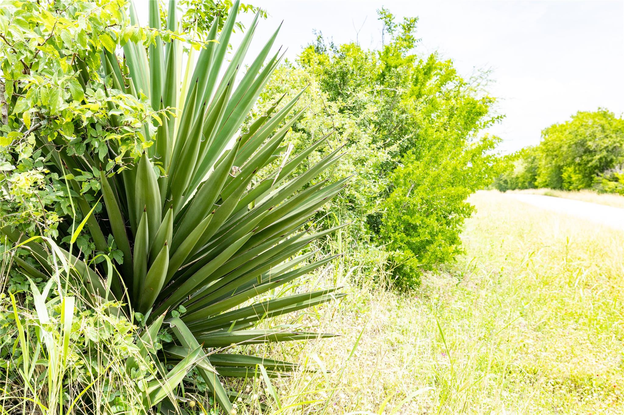 Lot 8 Concrete Edgar Rd, Cuero, TX 77954